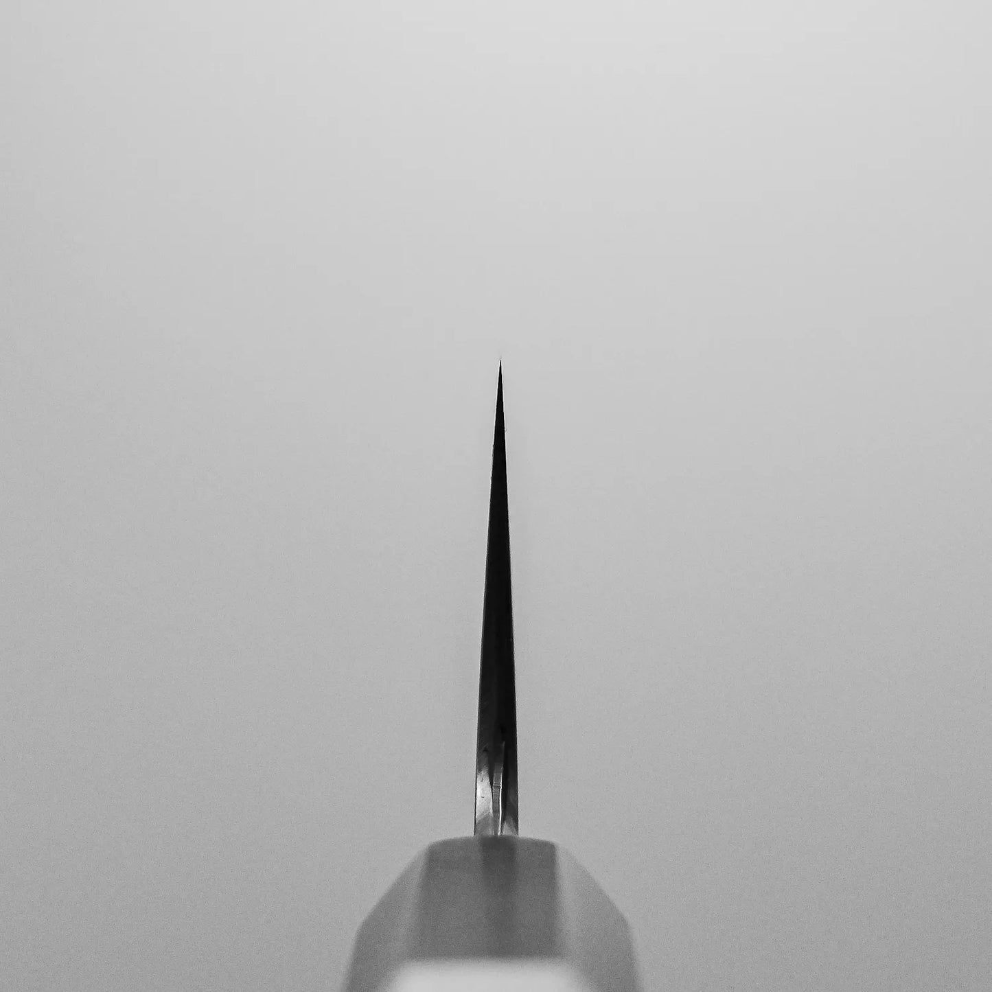 田中良一 AS 牛刀 210mm | 中古