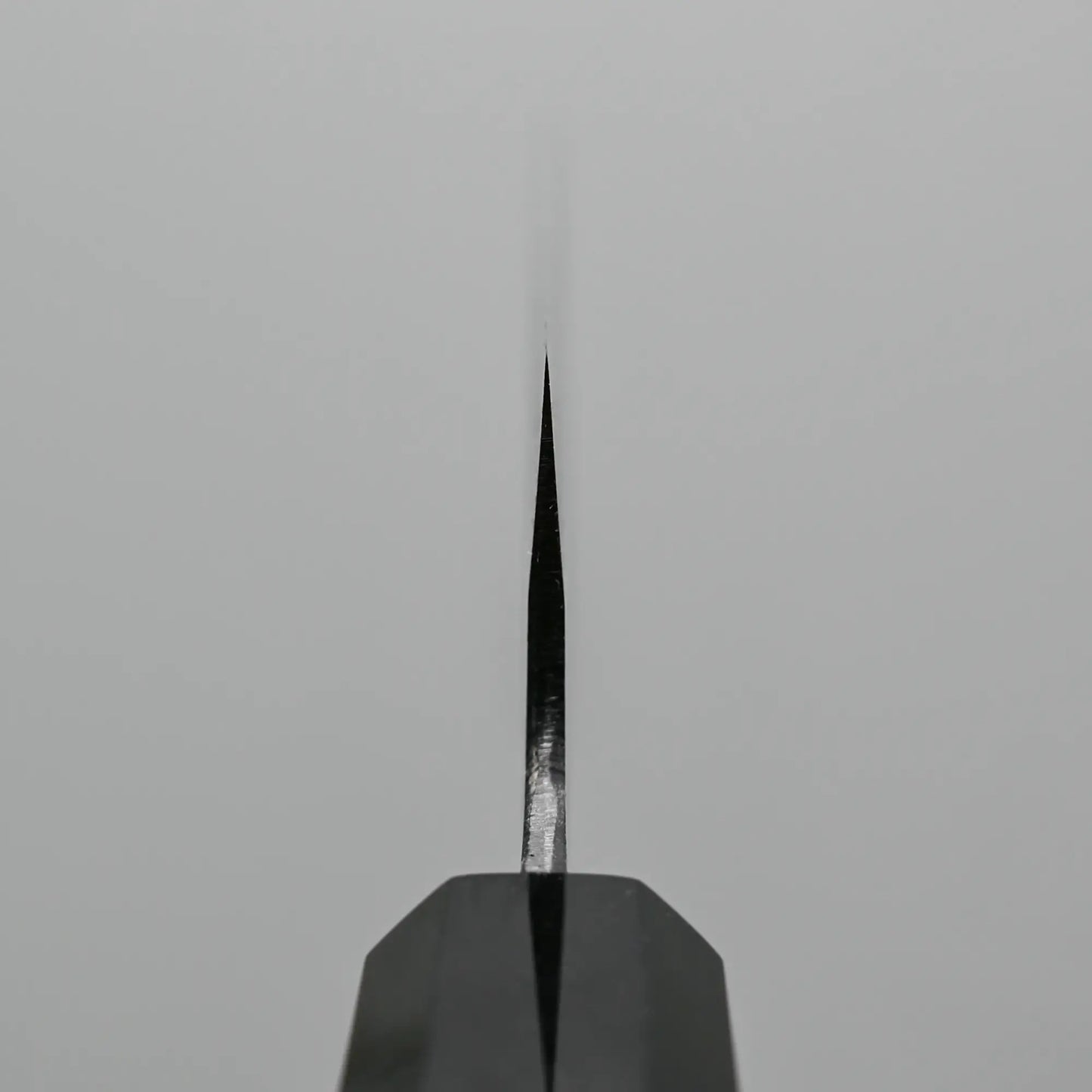 Choil shot of Hatsukokoro Aosagi kurouchi aogami#2 gyuto knife 210mm
