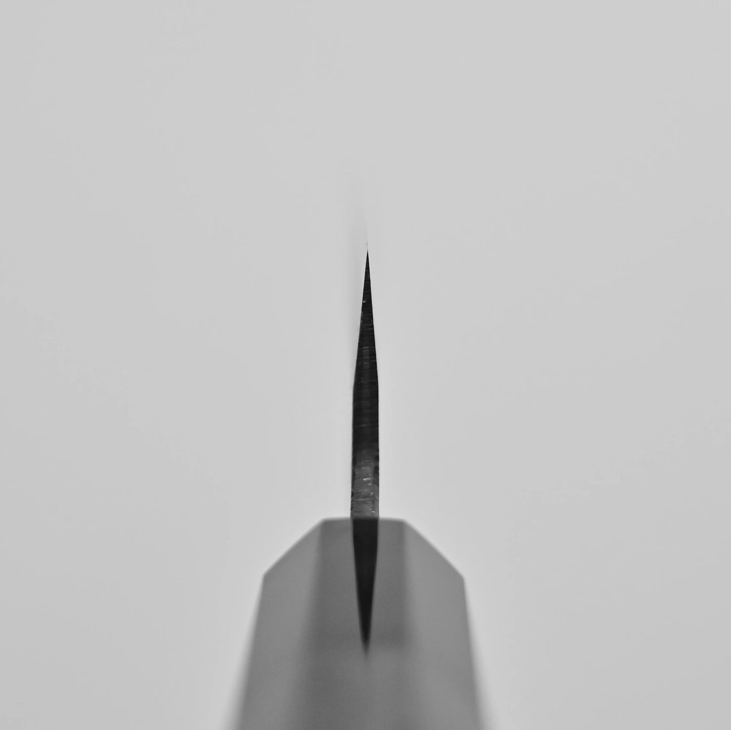Choil shot of 240mm Hatsukokoro Aosagi kurouchi aogami#2 gyuto knife