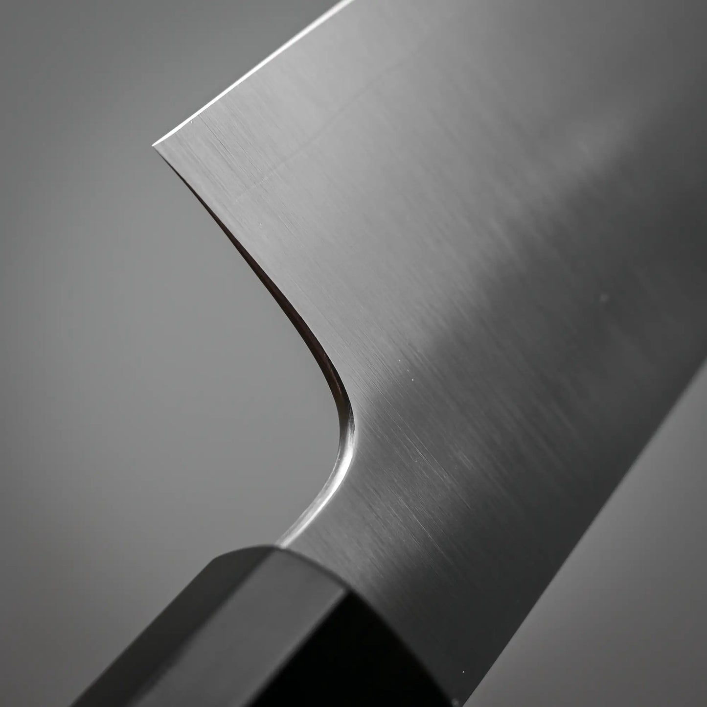 Close-up view of the choil of 210mm Hatsukokoro FAXR2 gyuto knife