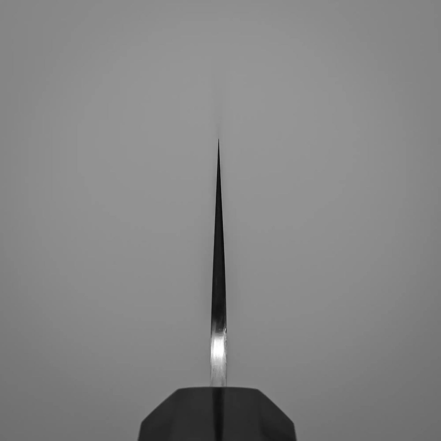 Choil shot of 210mm Hatsukokoro FAXR2 gyuto knife