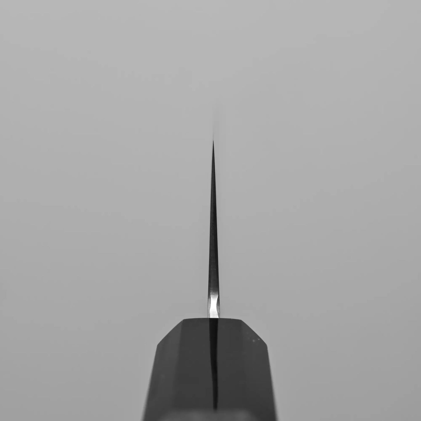 Choil shot of 210mm Hatsukokoro Hayabusa SG2 gyuto knife