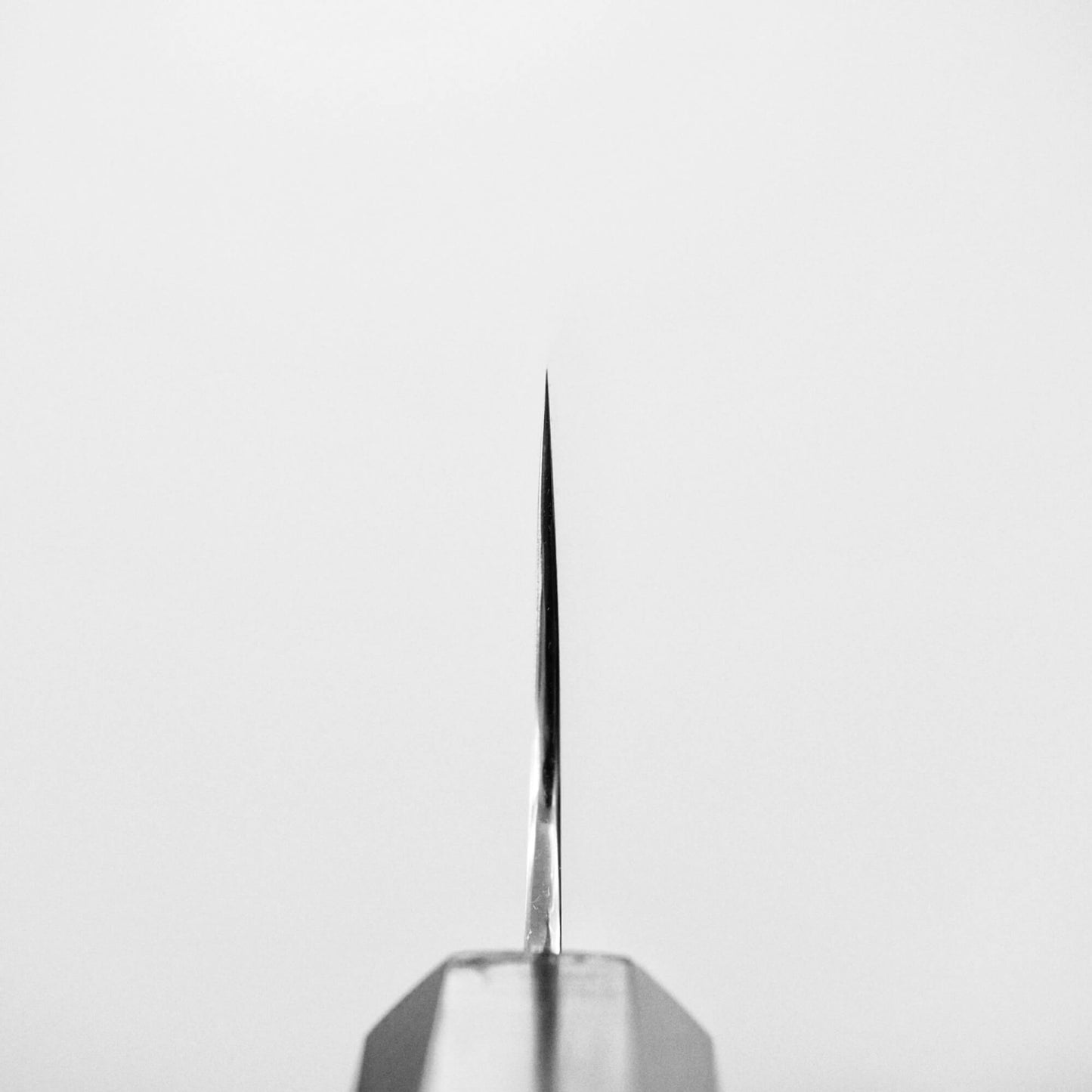 Choil shot of Hatsukokoro ginsan damascus gyuto 210mm