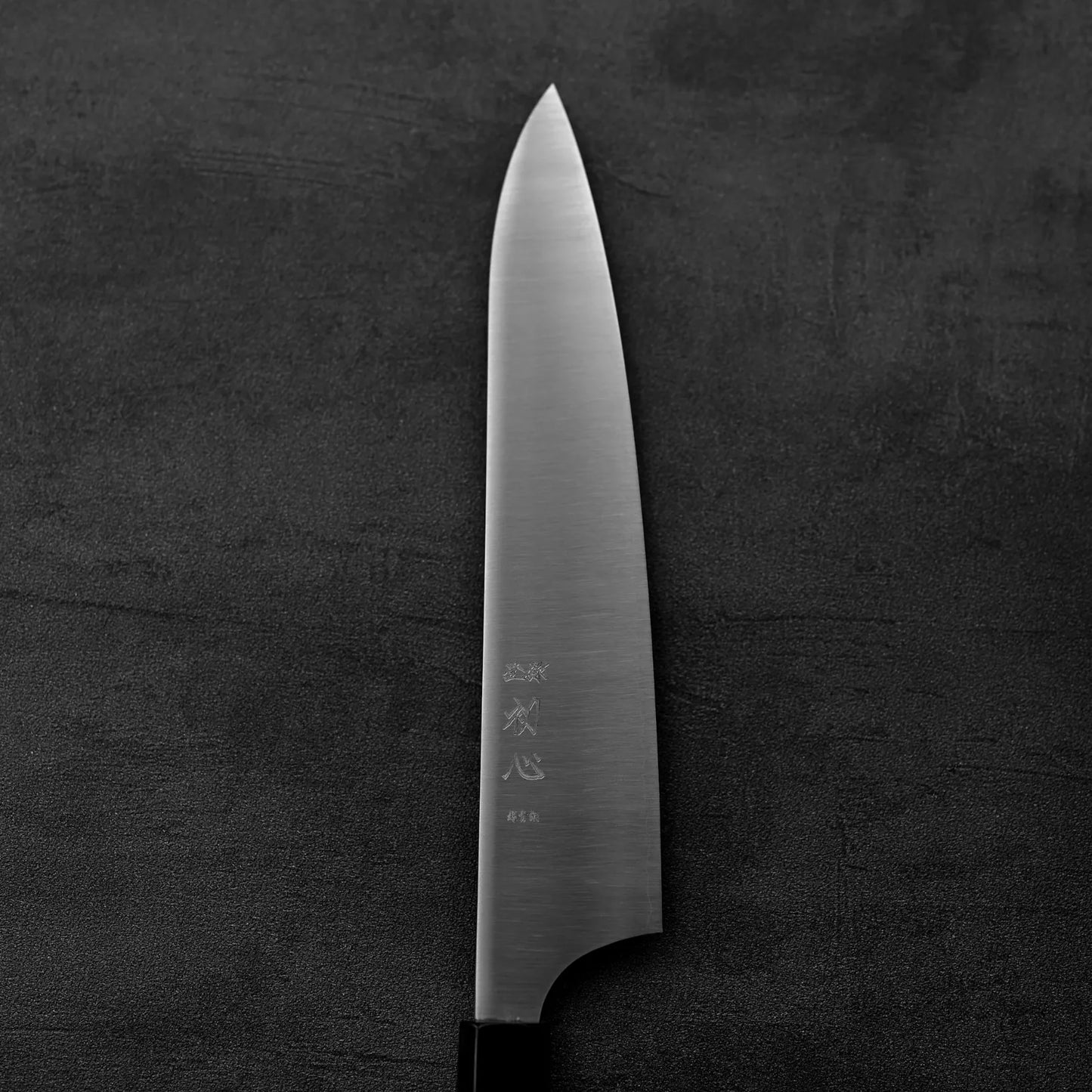 初心 ハヤブサ AS 牛刀 210mm