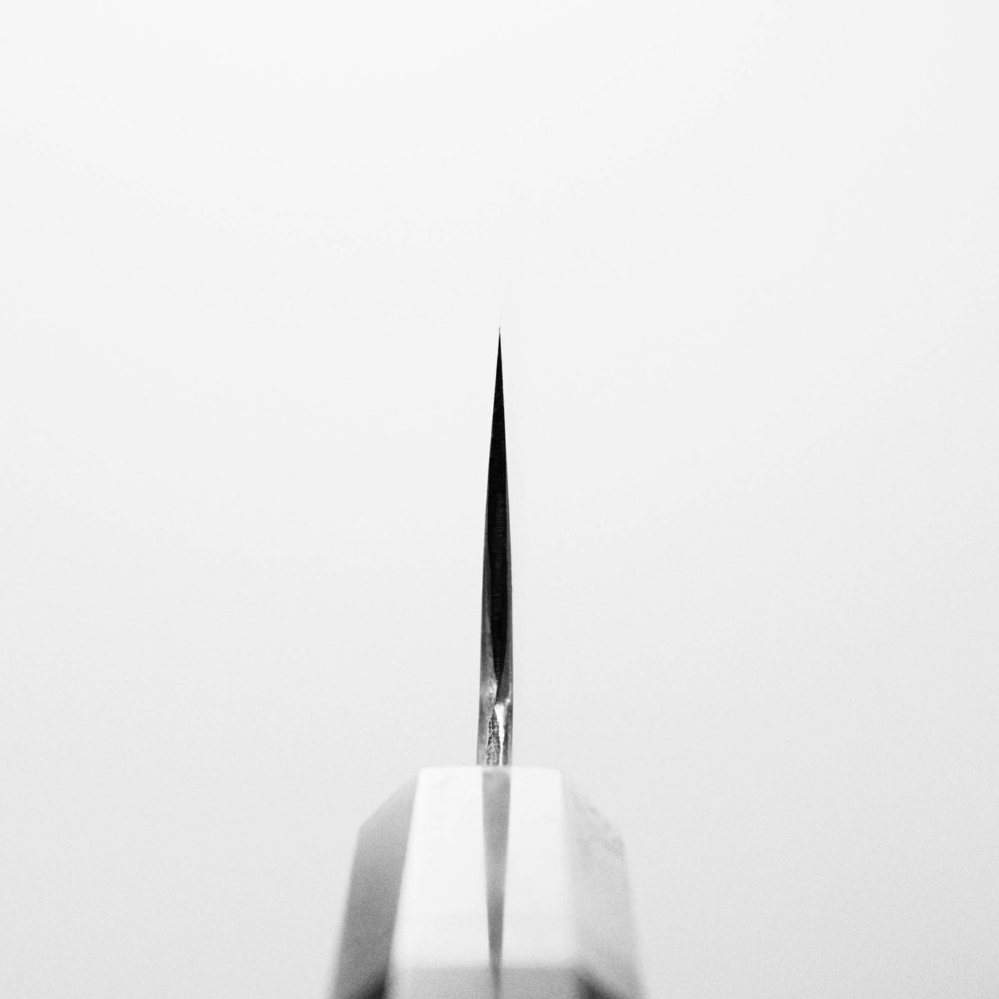 Choil shot of Nakagawa bunka with aogami#1 steel. This Japanese knife is sharpened by Morihiro hamono.