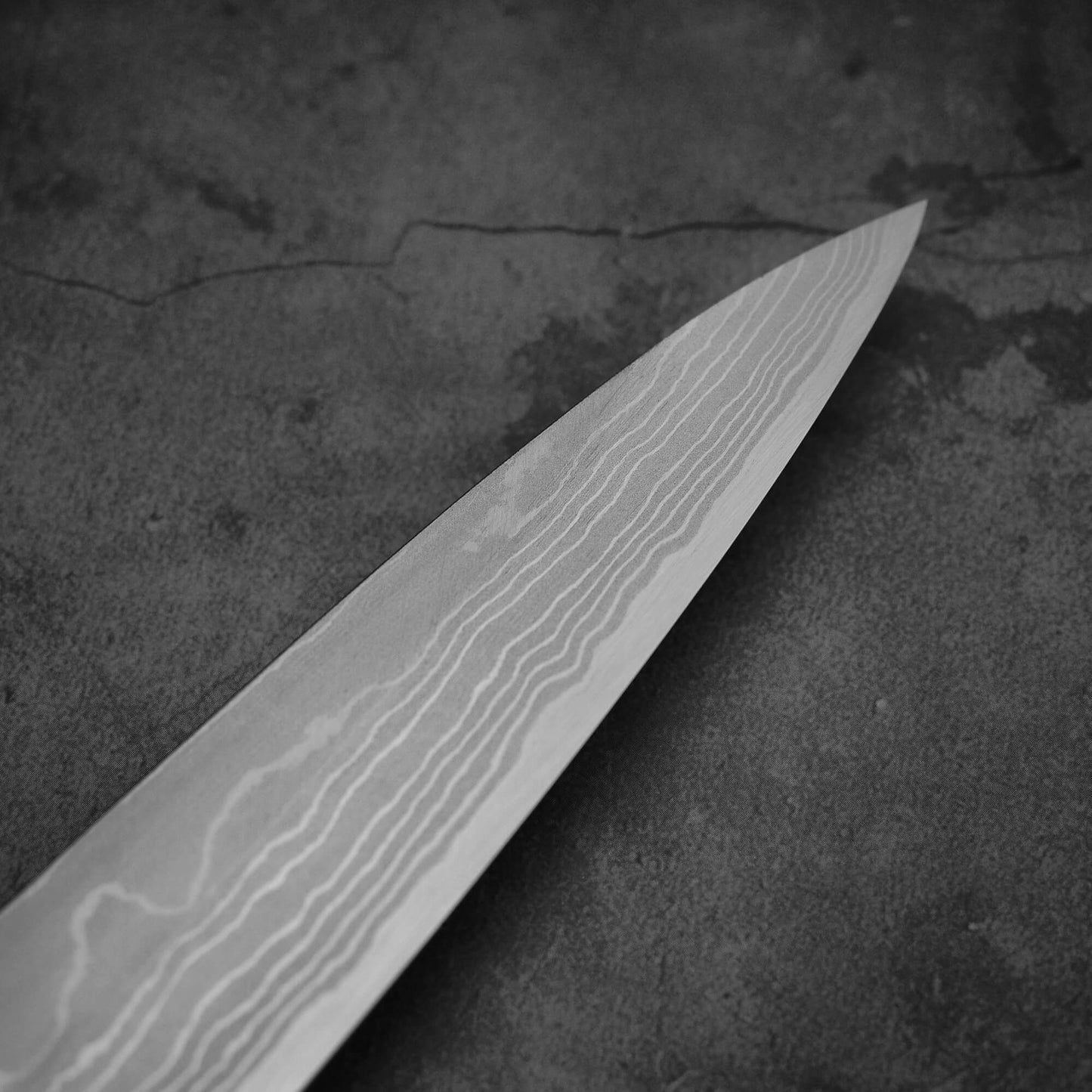 Close up view around the tip of Hideo Kitaoka damascus shirogami#2 yanagiba 270mm