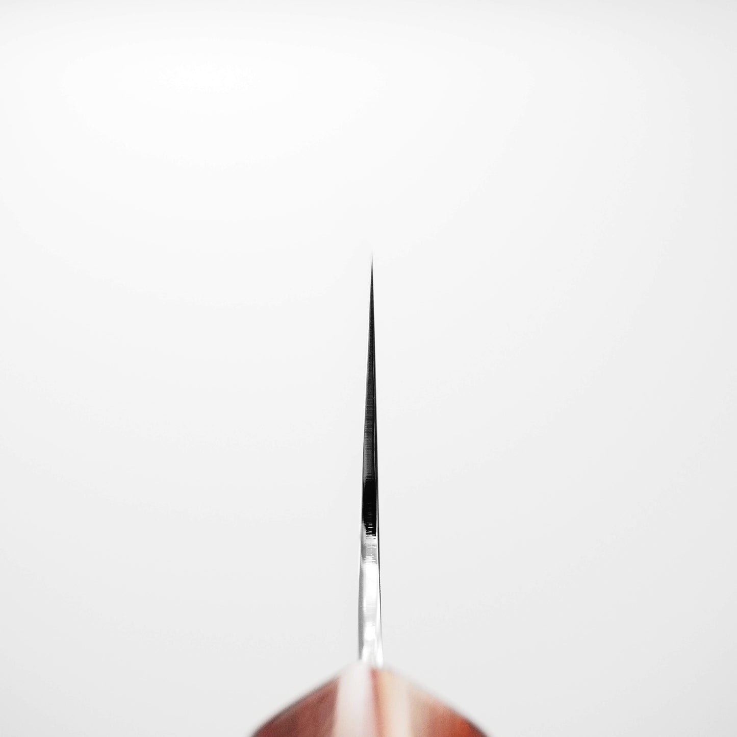 Choil shot of Kei Kobayashi SG2 bunka