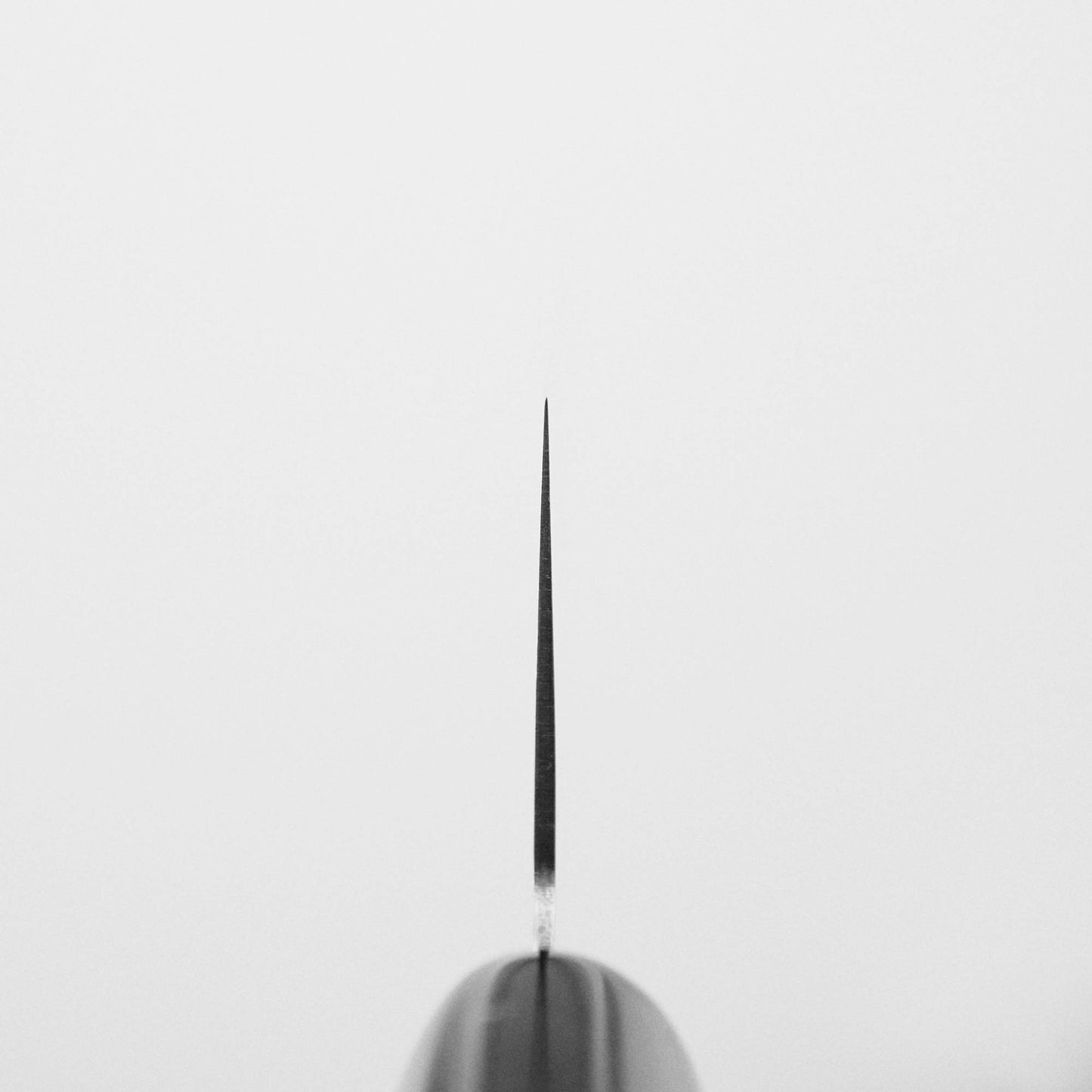 Choil shot of the Masamoto MV kiritsuke gyuto 240mm blade, highlighting its ultra-thin edge and tip against a plain white background. The blade is crafted from MV stainless steel by Masamoto.