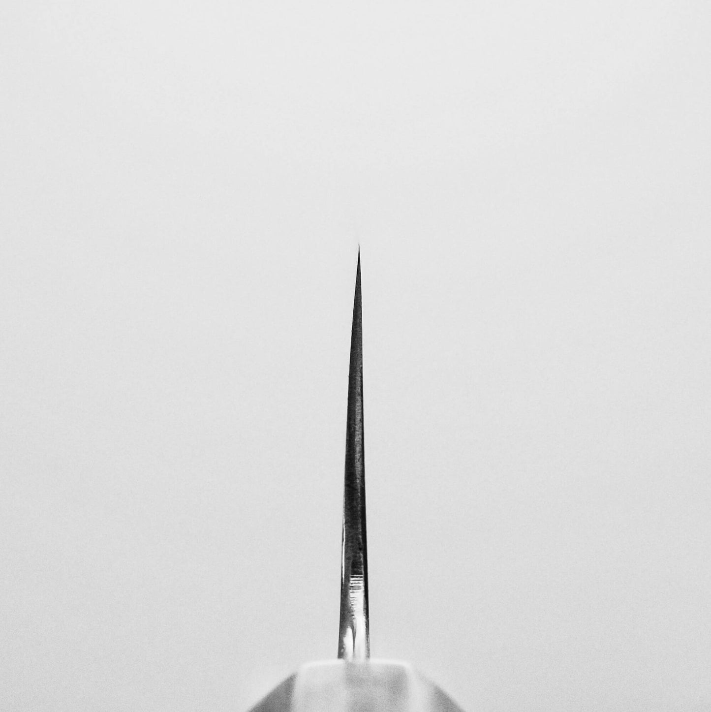 Choil shot of Nakagawa aogami#2 nakiri knife