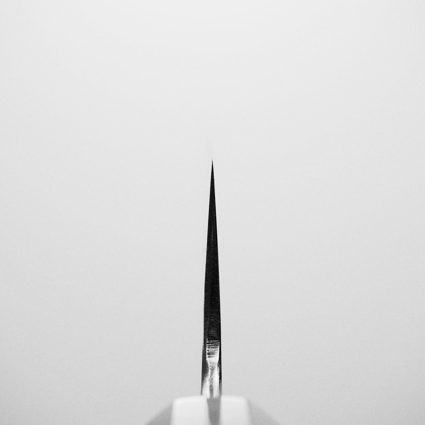 Choil shot of Nakagawa shinogi aogami#2 gyuto knife