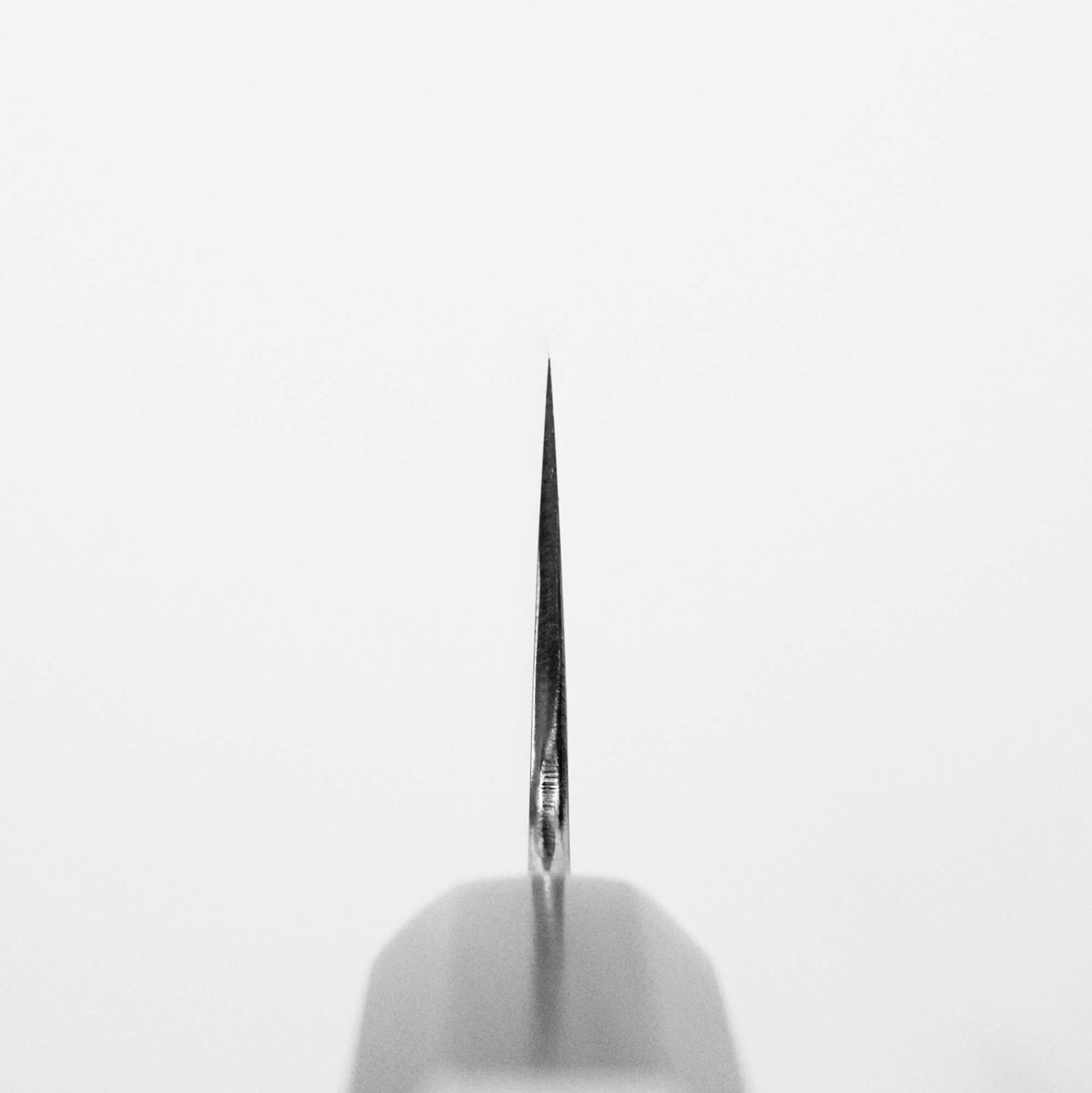 Choil shot of Nakagawa shinogi aogami#2 gyuto knife