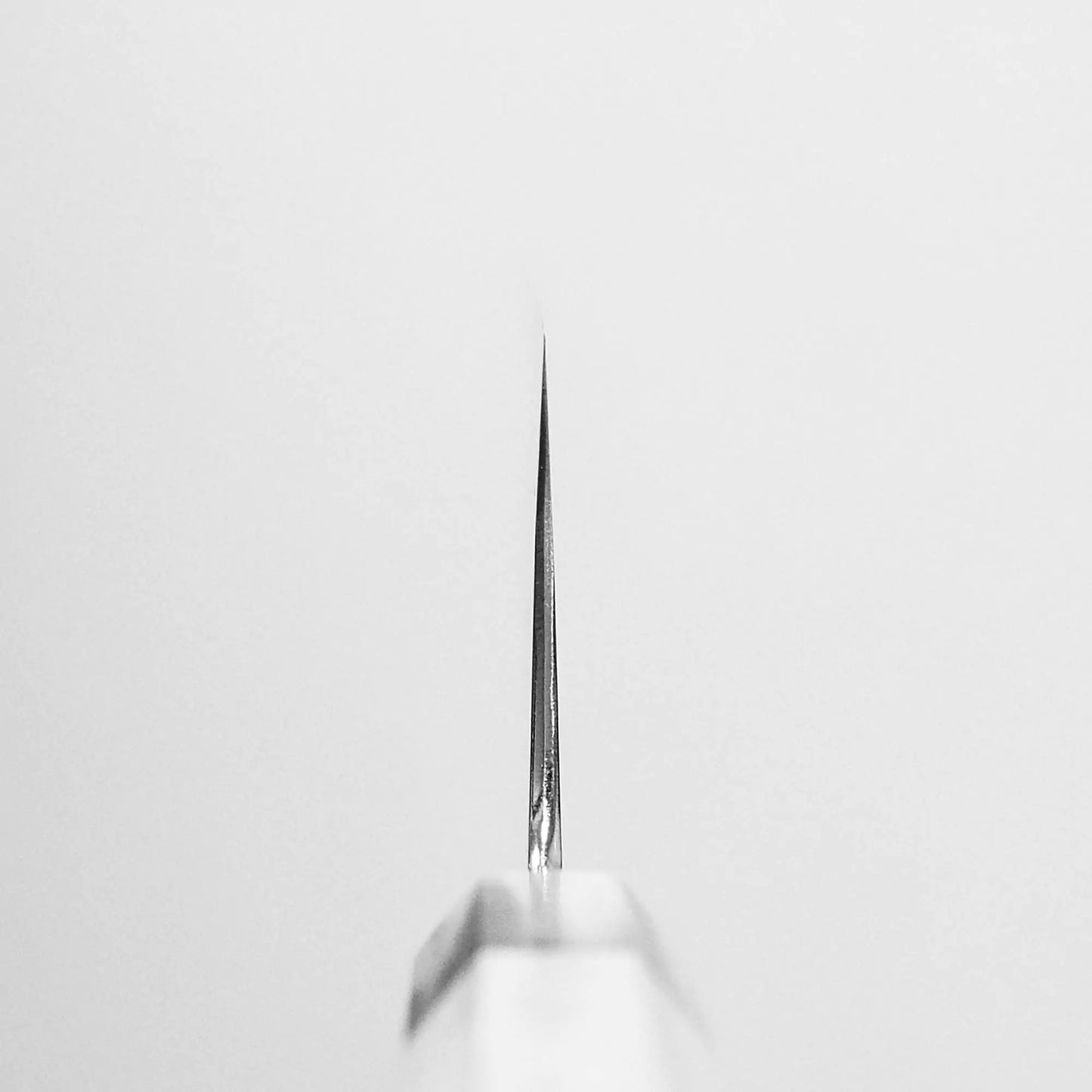 Choil shot of Nakagawa bokashi shirogami#1 ktip nakiri knife