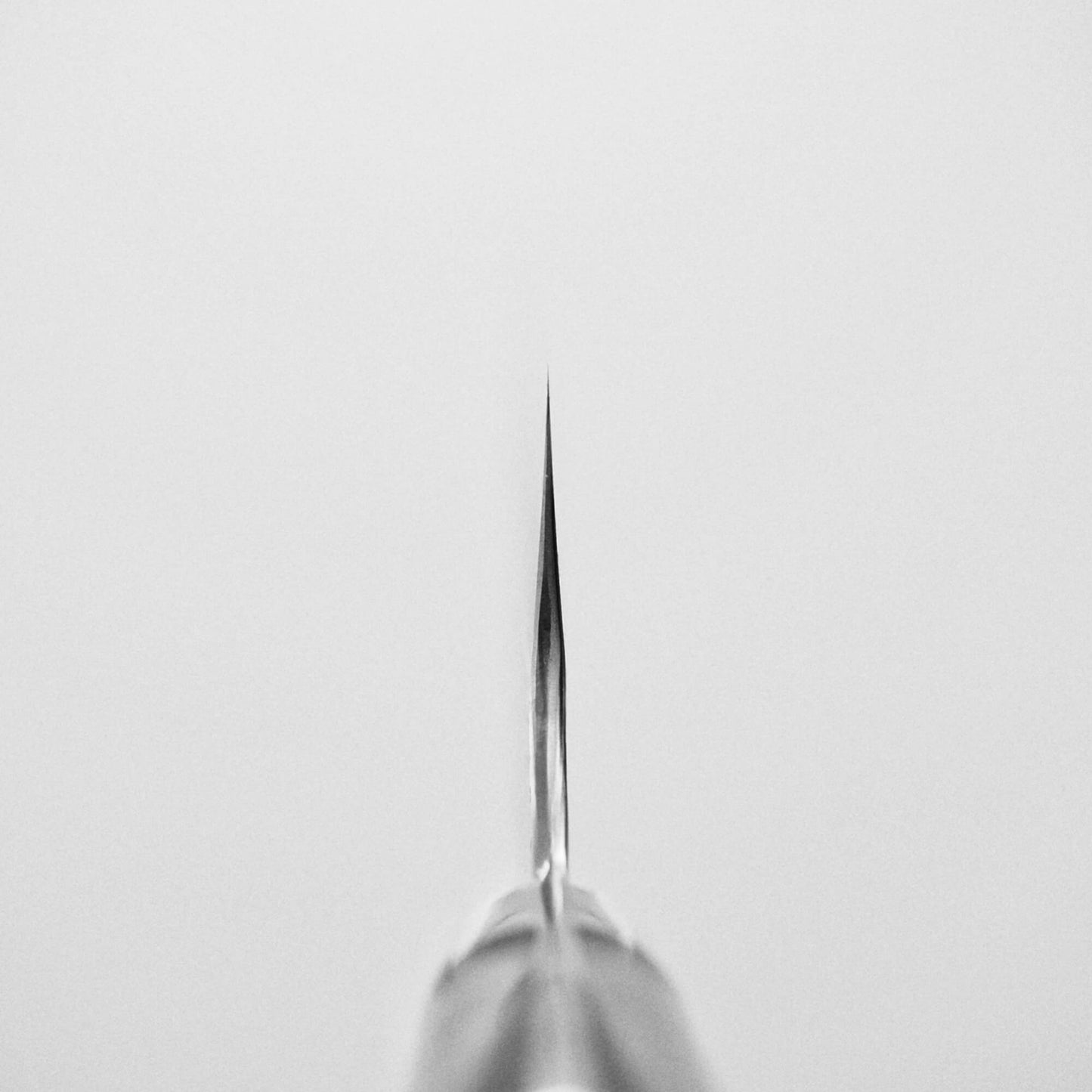Choil shot of 210mm Nigara tsuchime SG2 gyuto knife with blue handle