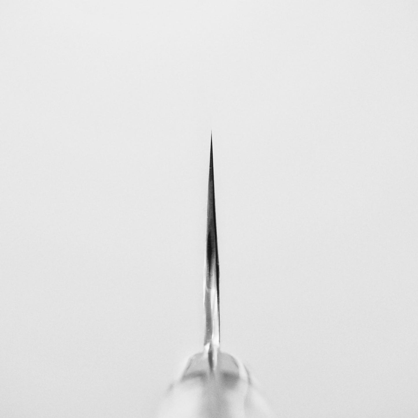 Choil shot of 210mm Nigara tsuchime SG2 gyuto knife with pearl handle resin