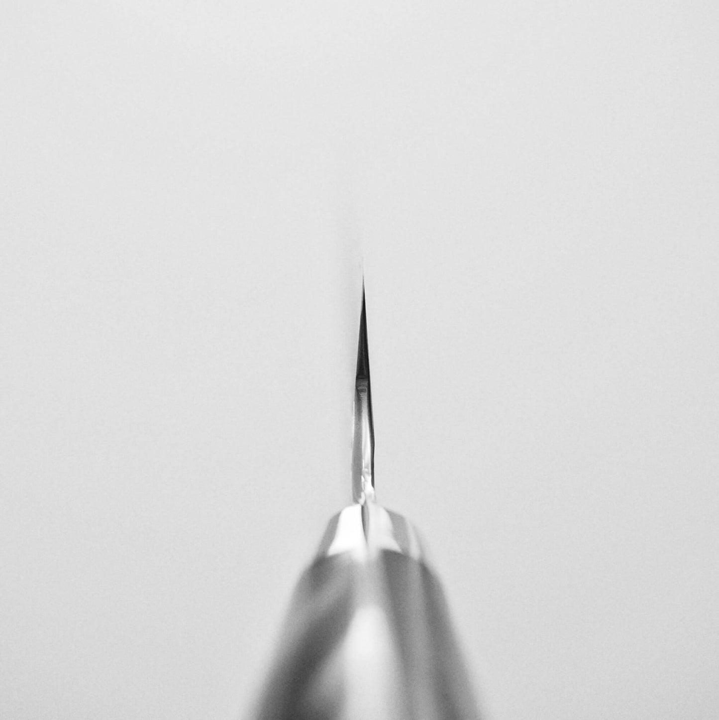 Choil shot of Nigara tsuchime SG2 kiritsuke petty knife 150mm