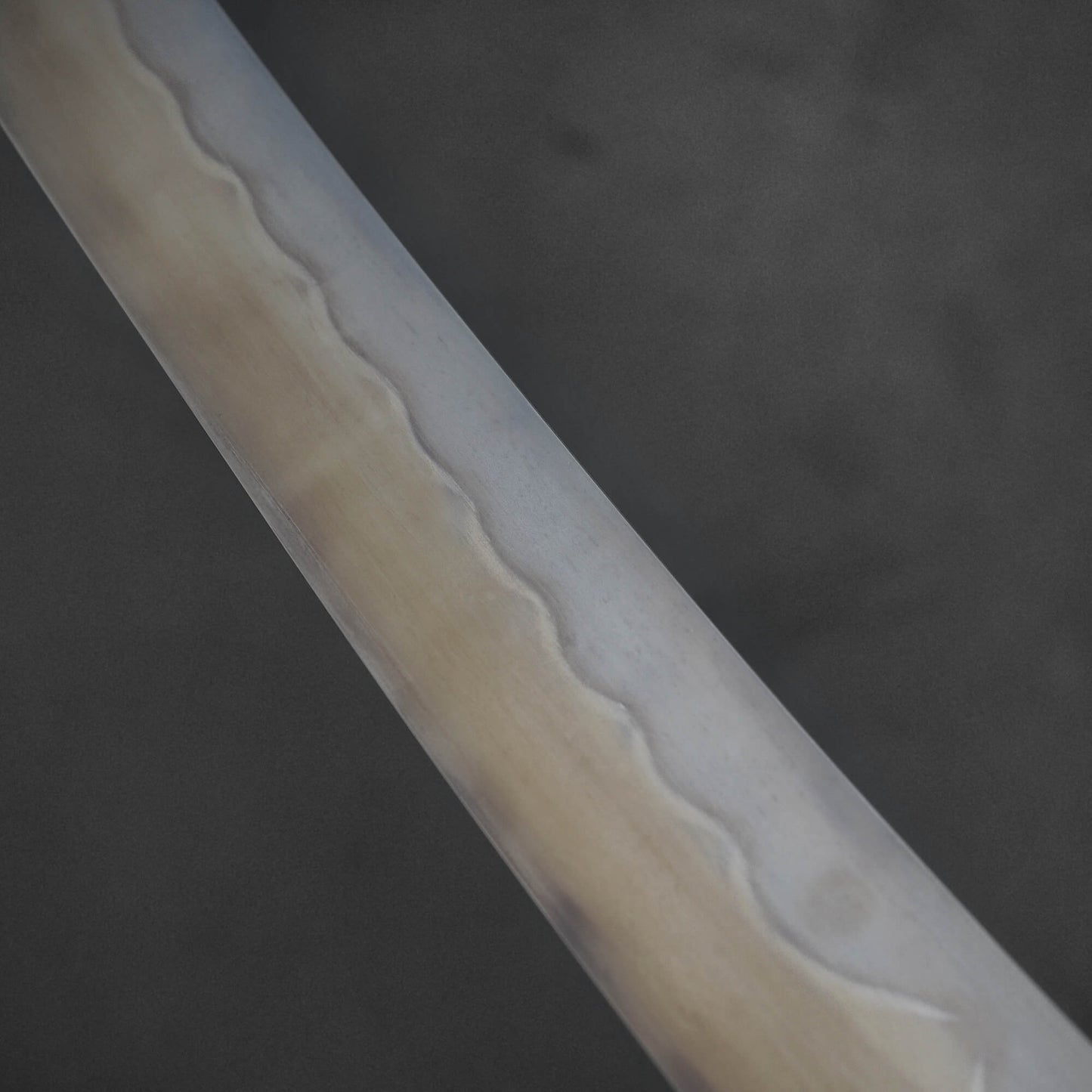 A second close up view of Nigara shirogami#1 mizuhonyaki sakimaru yanagiba. Image focuses on the back side of the knife.