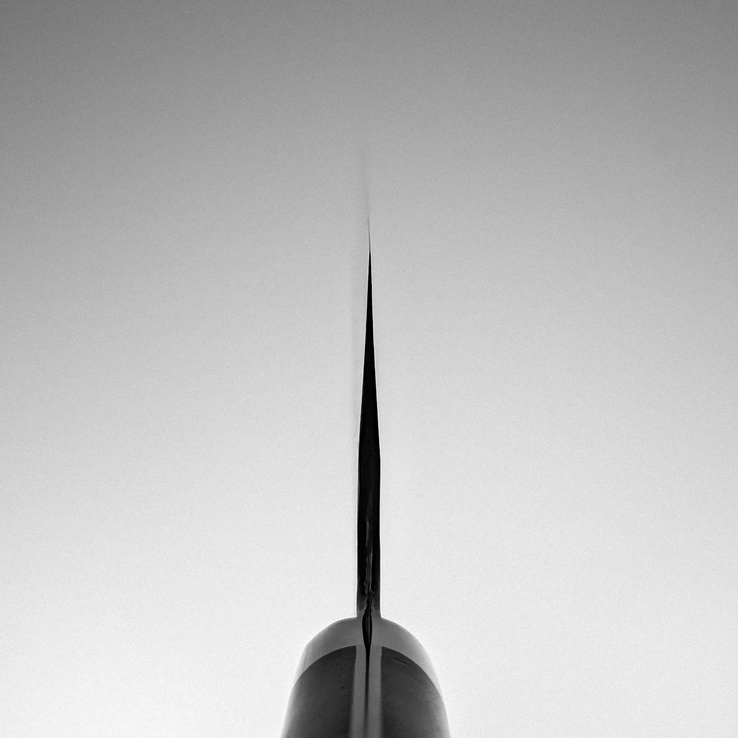 A black-and-white photo shows an aircrafts vertical stabilizer, its surface echoing the tsuchime kurouchi finish of the Nigara Hamono Nigara tsuchime kurouchi SG2 kiritsuke nakiri 180mm, viewed from behind and centered against a plain sky.