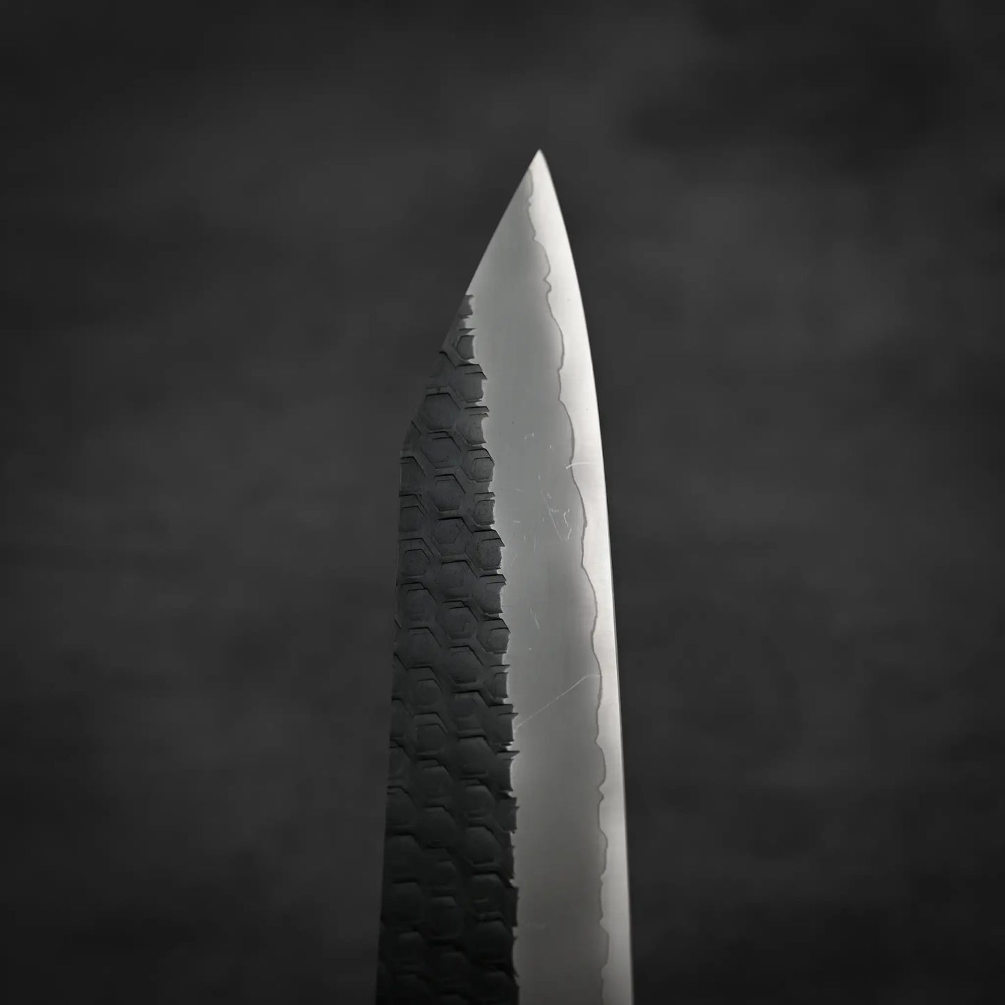 A close-up of the Nigara Hamono Nigara tsuchime kurouchi SG2 kiritsuke sujihiki 255mm shows its tsuchime kurouchi-finished blade on one side and a smooth, polished SG2 edge on the other, set against a dark, blurred background.