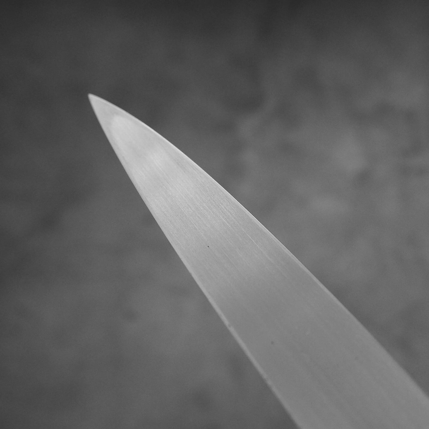 Shigefusa kasumi 300mm yanagiba