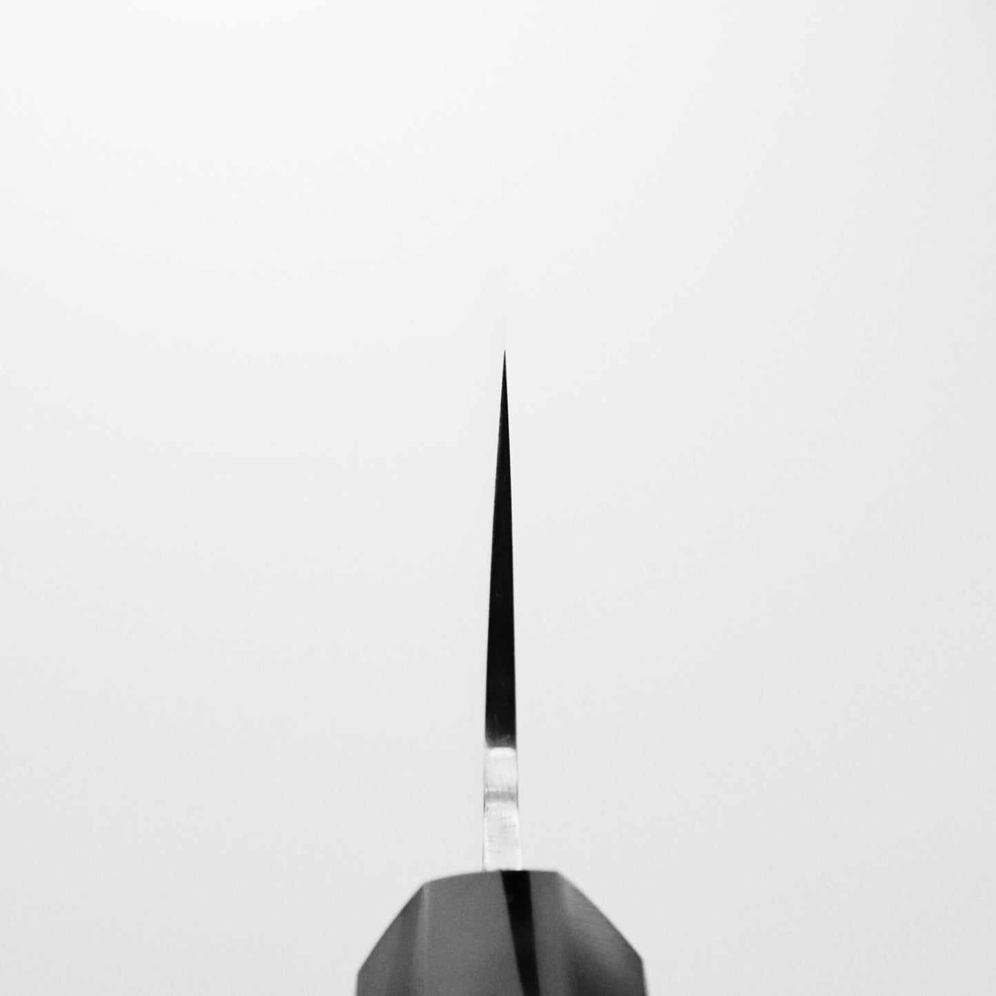 Choil shot of Sukenari XEOS gyuto 240mm