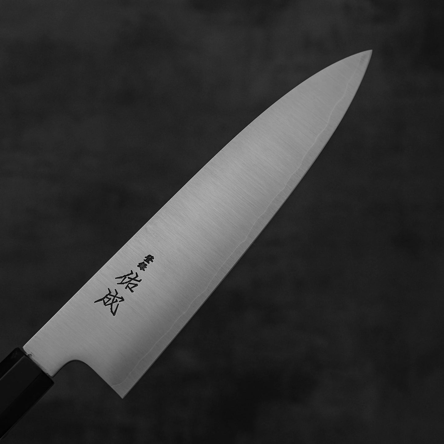 A close-up of the Sukenari SG2 210mm gyuto by Sukenari, featuring a sharp pointed blade and engraved Japanese characters near the handle, with a magnolia saya, set against a dark textured background.