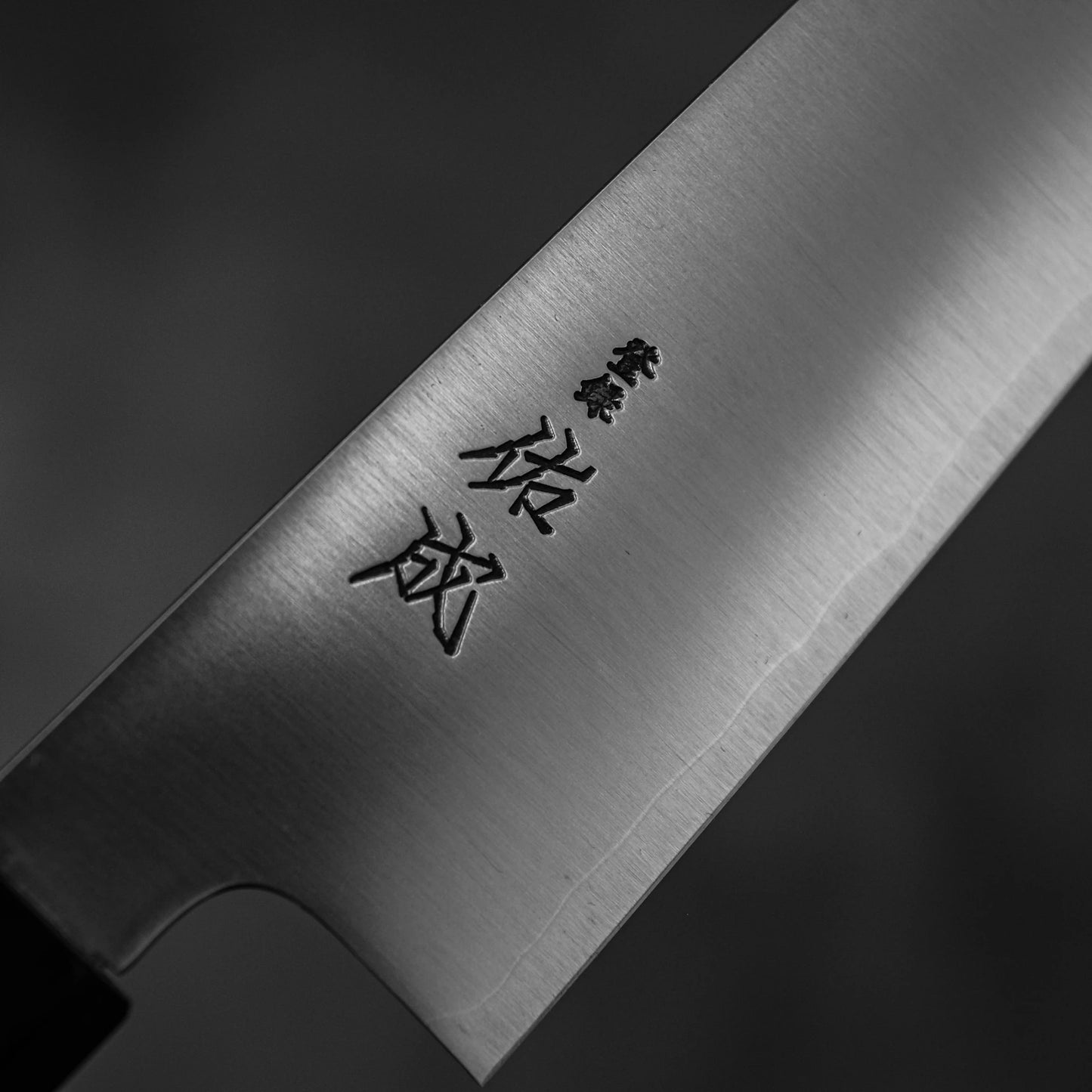 A close-up of the Sukenari SG2 210mm gyuto with Japanese characters engraved on its blade, crafted from high-performance SG2 steel by Sukenari, shown against a blurred gray background. Includes a magnolia saya.
