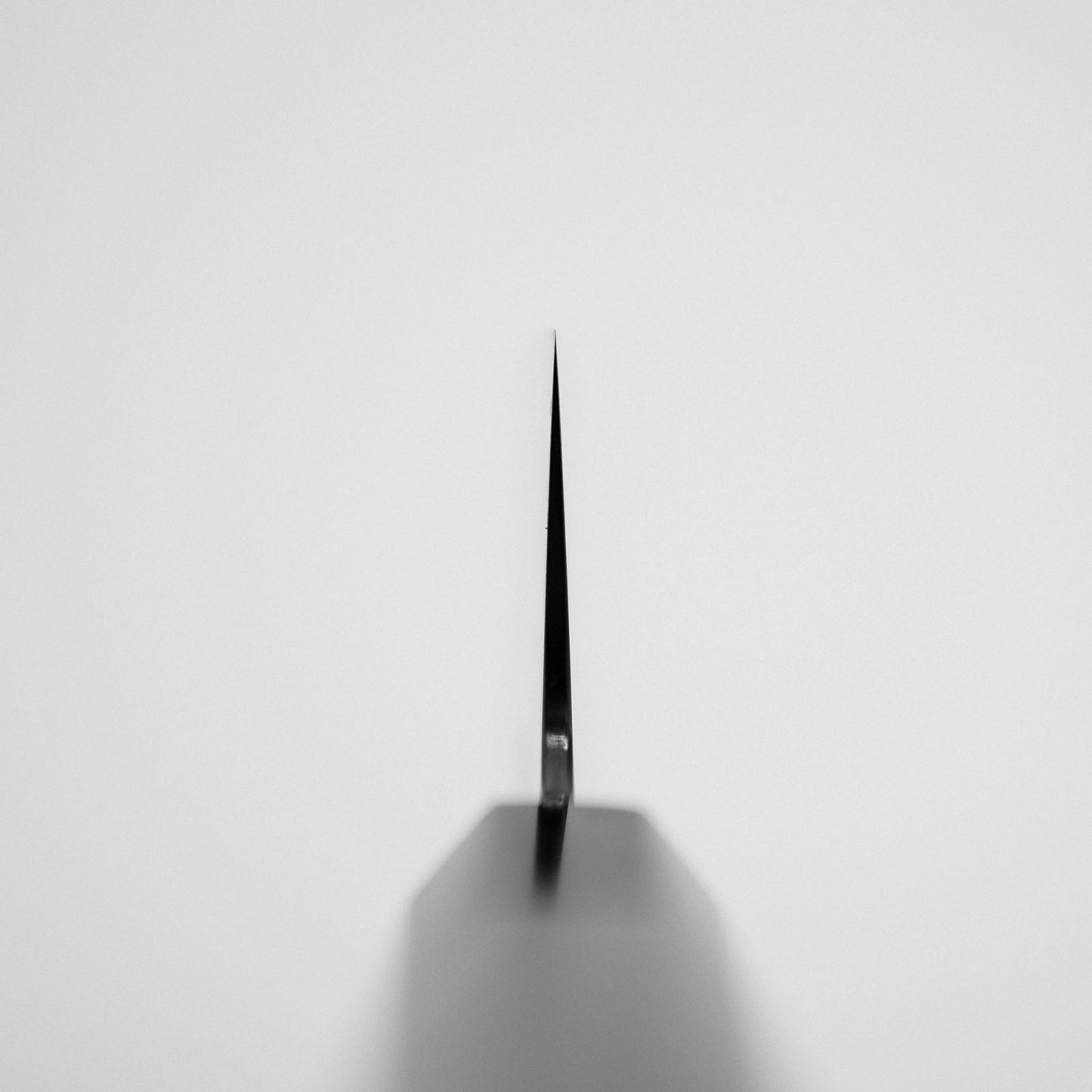 A close-up top-down view of the Sukenari SG2 210mm gyuto with magnolia saya, showing the blade upright against a plain white background, its edge centered and handle blurred at the bottom.