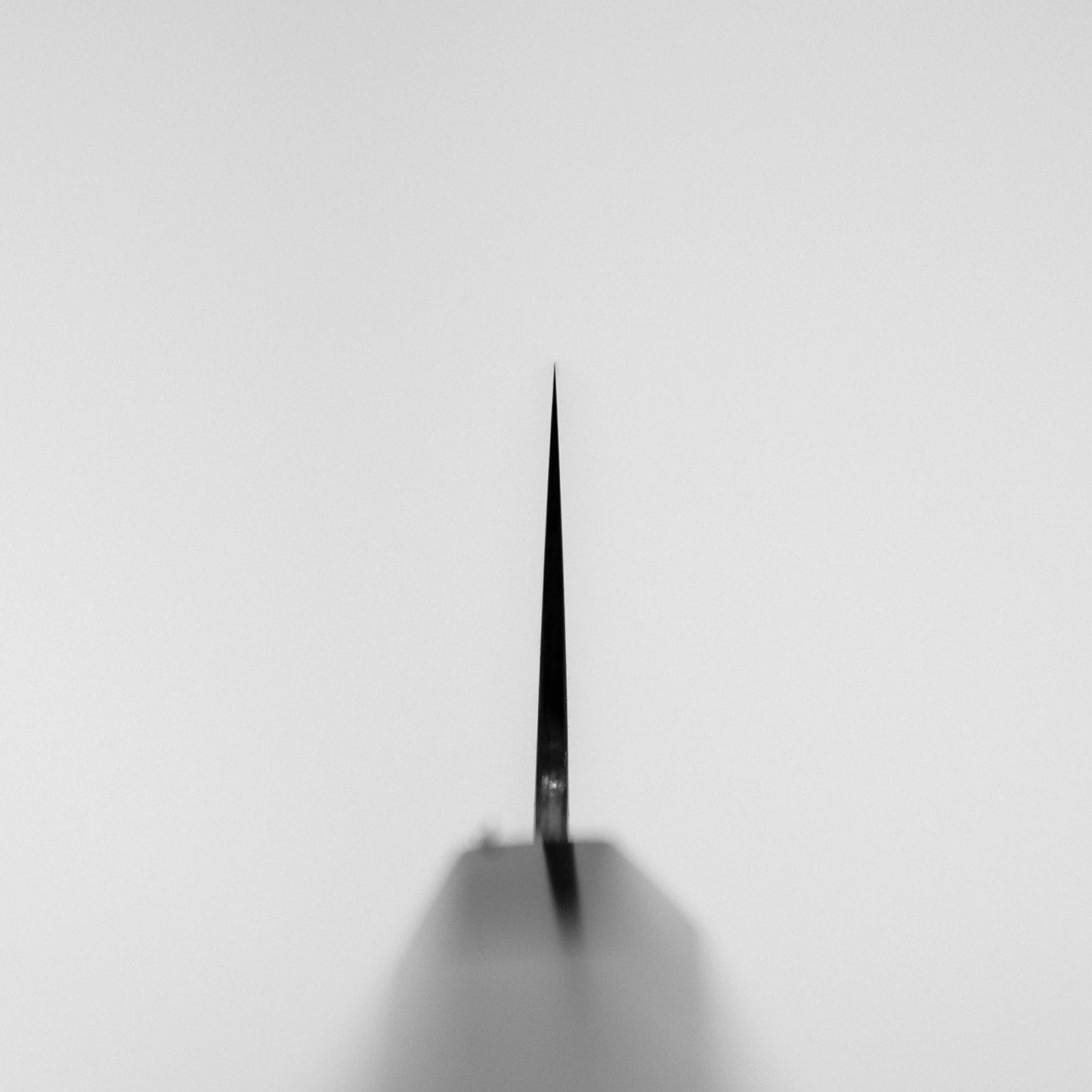 A close-up, top-down view of the Sukenari SG2 240mm gyuto (with magnolia saya) blade against a plain white background, with the blade centered vertically and casting a subtle shadow.