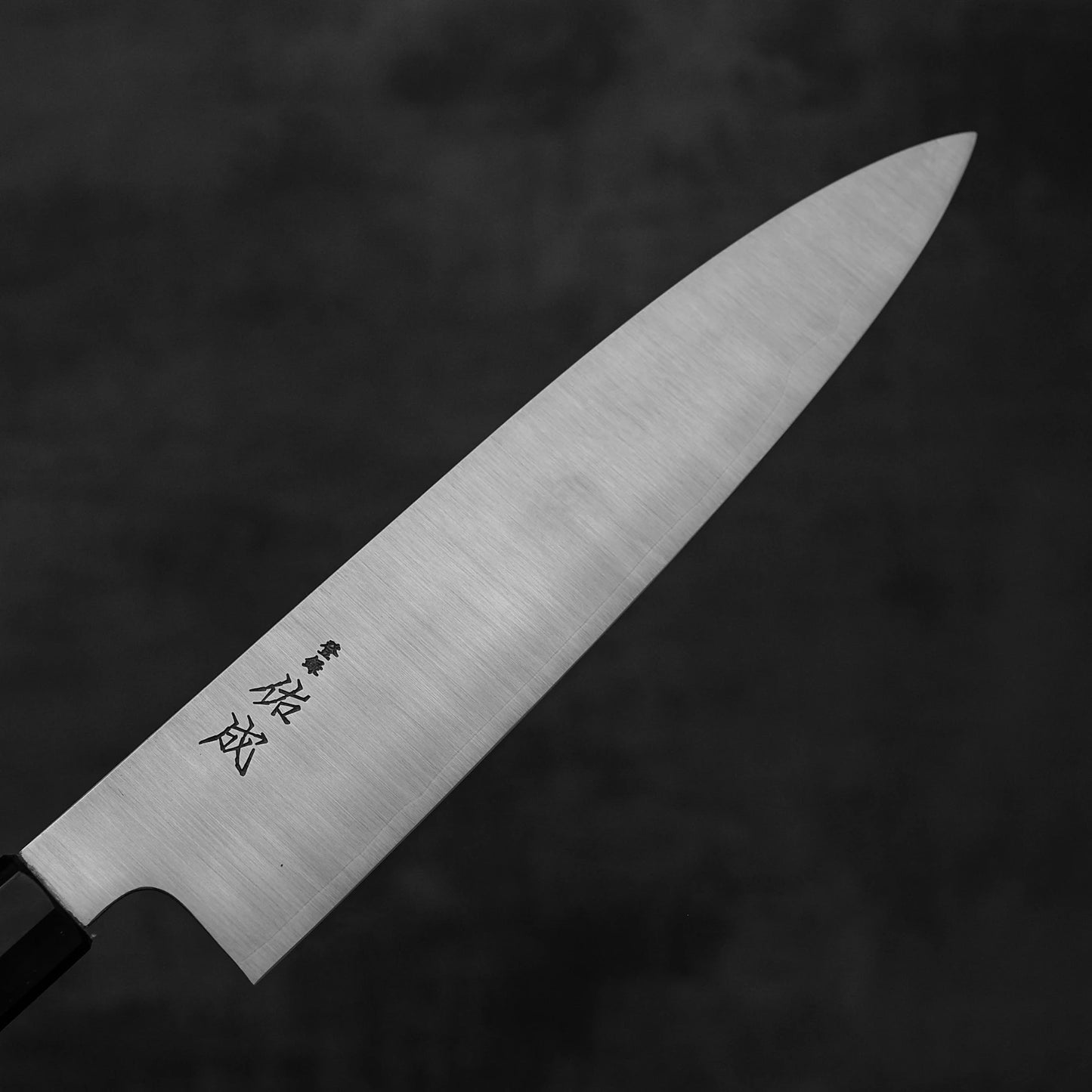 A close-up of the Sukenari SG2 240mm gyuto with silver blade and black handle, Japanese characters engraved on the blade, plus a magnolia saya, known for durability, set against a dark, blurred background. Brand: Sukenari.