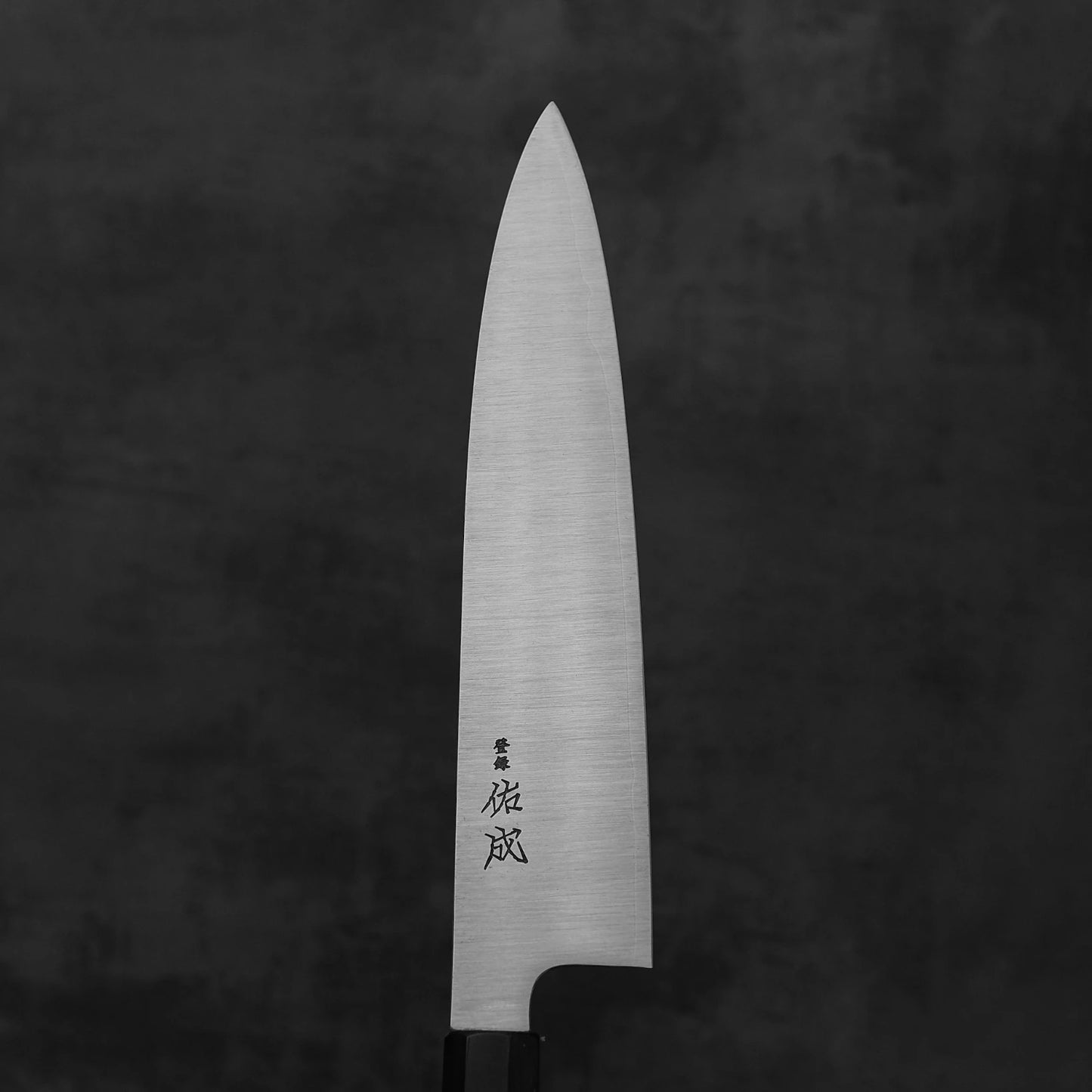 The Sukenari SG2 240mm gyuto (with magnolia saya) by Sukenari stands vertically against a dark background, its pointed blade featuring black Japanese characters that highlight its exceptional edge retention.
