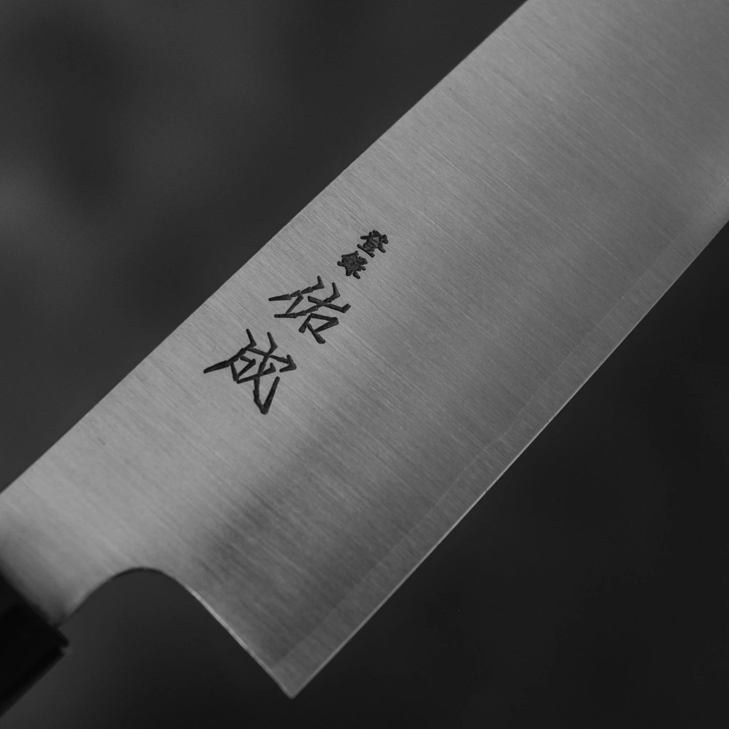 Close-up of a Sukenari SG2 240mm gyuto chef knife blade with Japanese characters near the handle, shown against a dark background—crafted by Sukenari and acclaimed for outstanding edge retention; includes a magnolia saya.