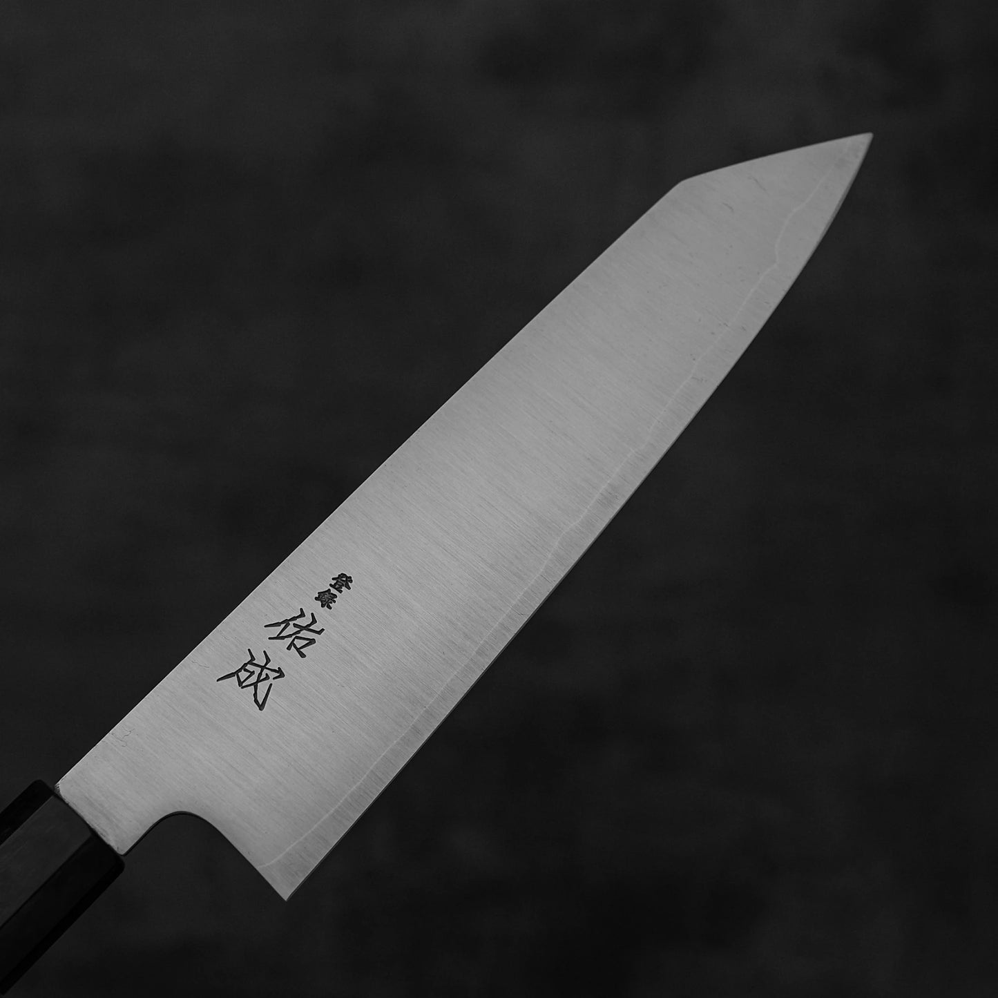 A close-up of the Sukenari SG2 210mm kiritsuke gyuto chef knife by Sukenari, featuring a silver SG2 core steel blade with Japanese characters, black handle, and magnolia saya, set against a dark, blurred background.