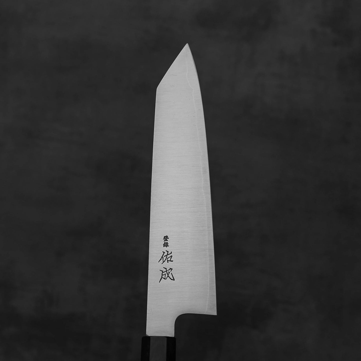 The Sukenari SG2 210mm kiritsuke gyuto Japanese chef knife, featuring black kanji on the blade and a magnolia saya, is displayed against a dark, blurred backdrop.