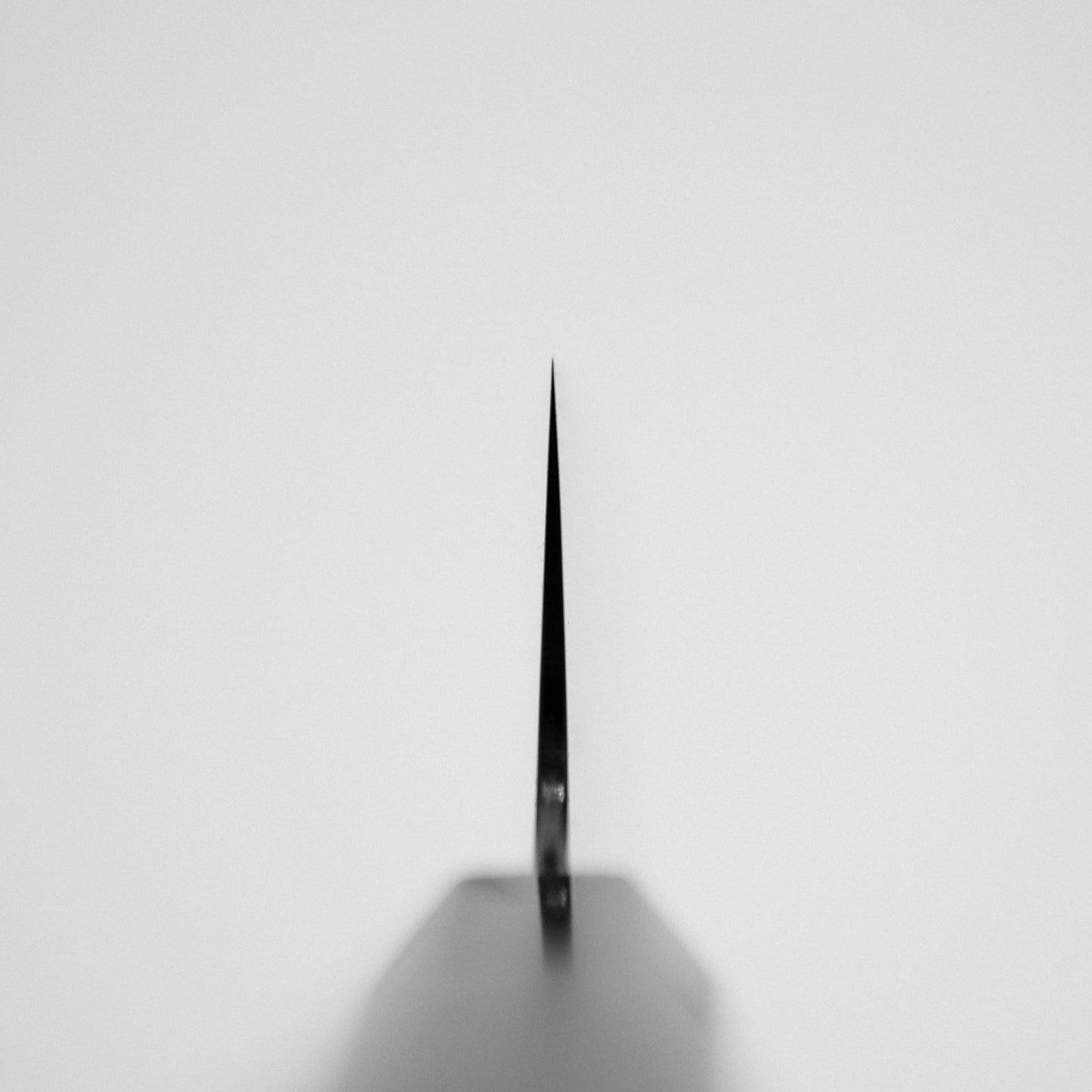 A close-up, top-down view highlights the sharp tip and symmetry of the Sukenari SG2 210mm kiritsuke gyuto (with magnolia saya) Japanese chef knife blade against a plain white background.