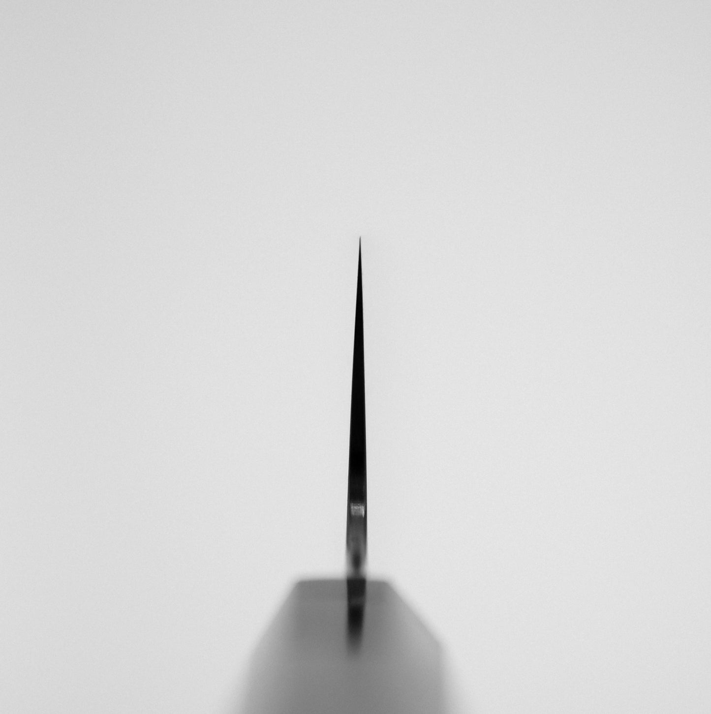 Close-up of the sharp tip of the Sukenari SG2 240mm kiritsuke gyuto (with magnolia saya), photographed head-on against a light background. The Sukenari chef knifes symmetrical blade is perfectly centered in the frame.