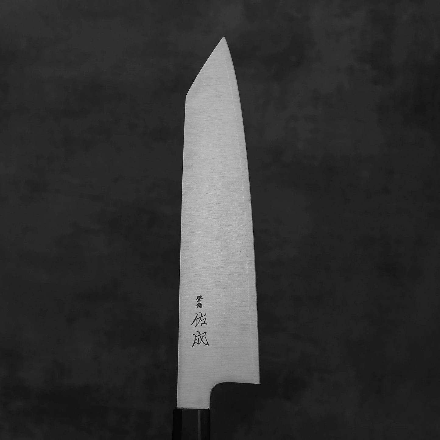 The Sukenari SG2 240mm kiritsuke gyuto, complete with a magnolia saya and engraved Japanese characters near the handle, is displayed against a dark, textured background.