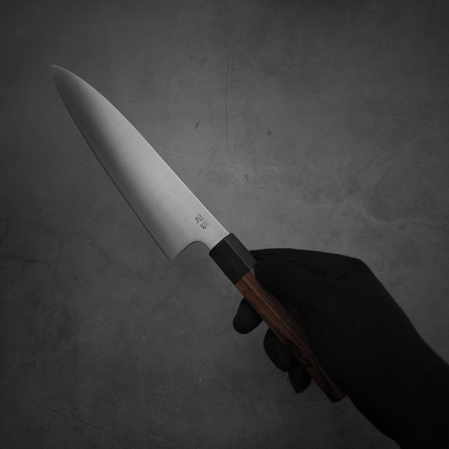Hand holding a 210mm Sukenari ZDP189 gyuto knife. Image shows the back side of the knife.