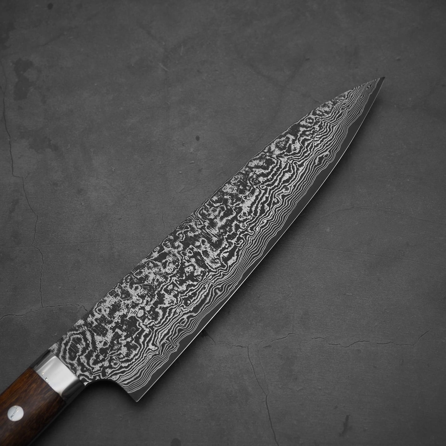 Takeshi Saji black damascus SG2 gyuto ironwood 210mm