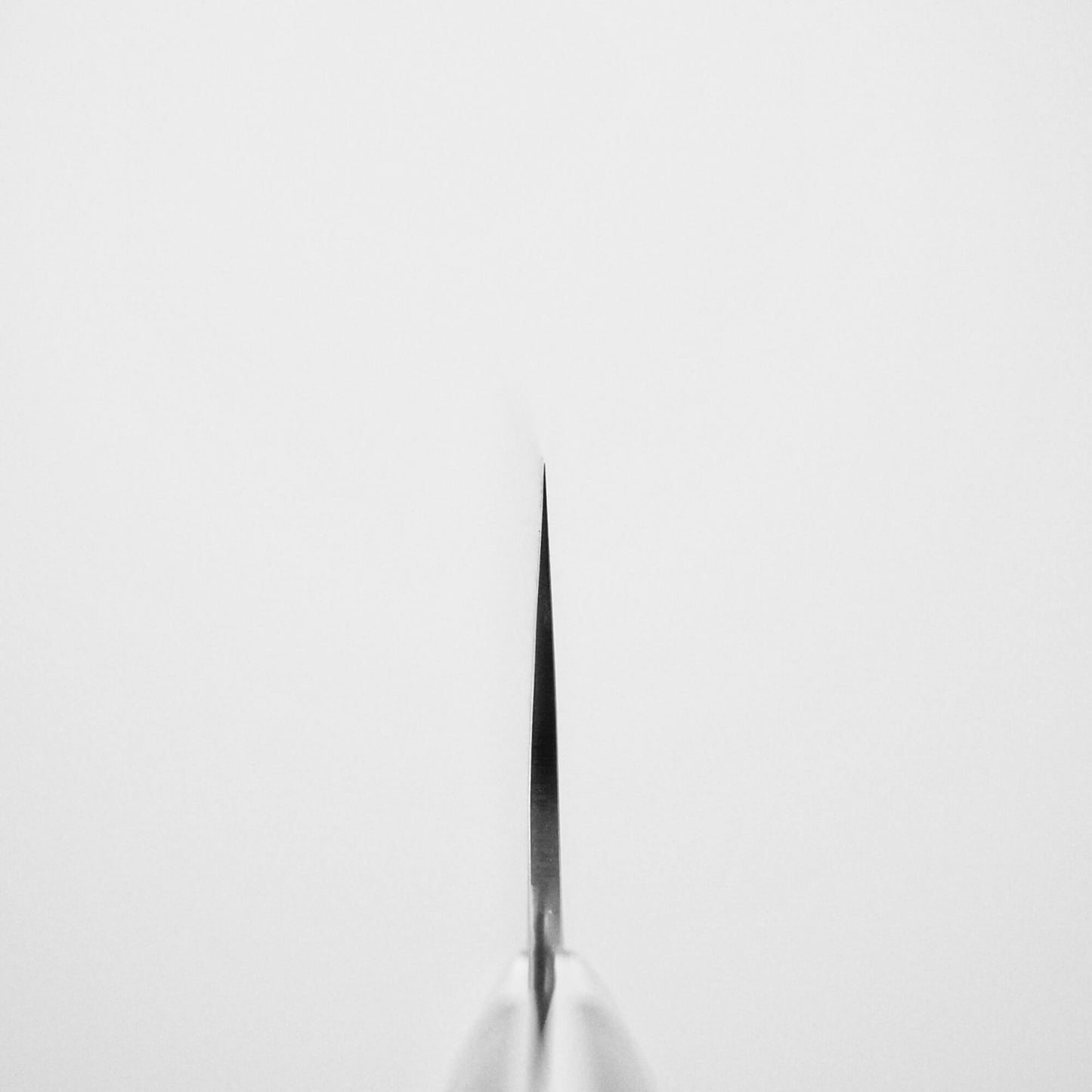 A close-up of the Takeshi Saji black damascus SG2 gyuto ironwood 240mm blade, viewed tip-first and centered on a white background. The SG2 stainless steel blade appears as a thin black line down the center.