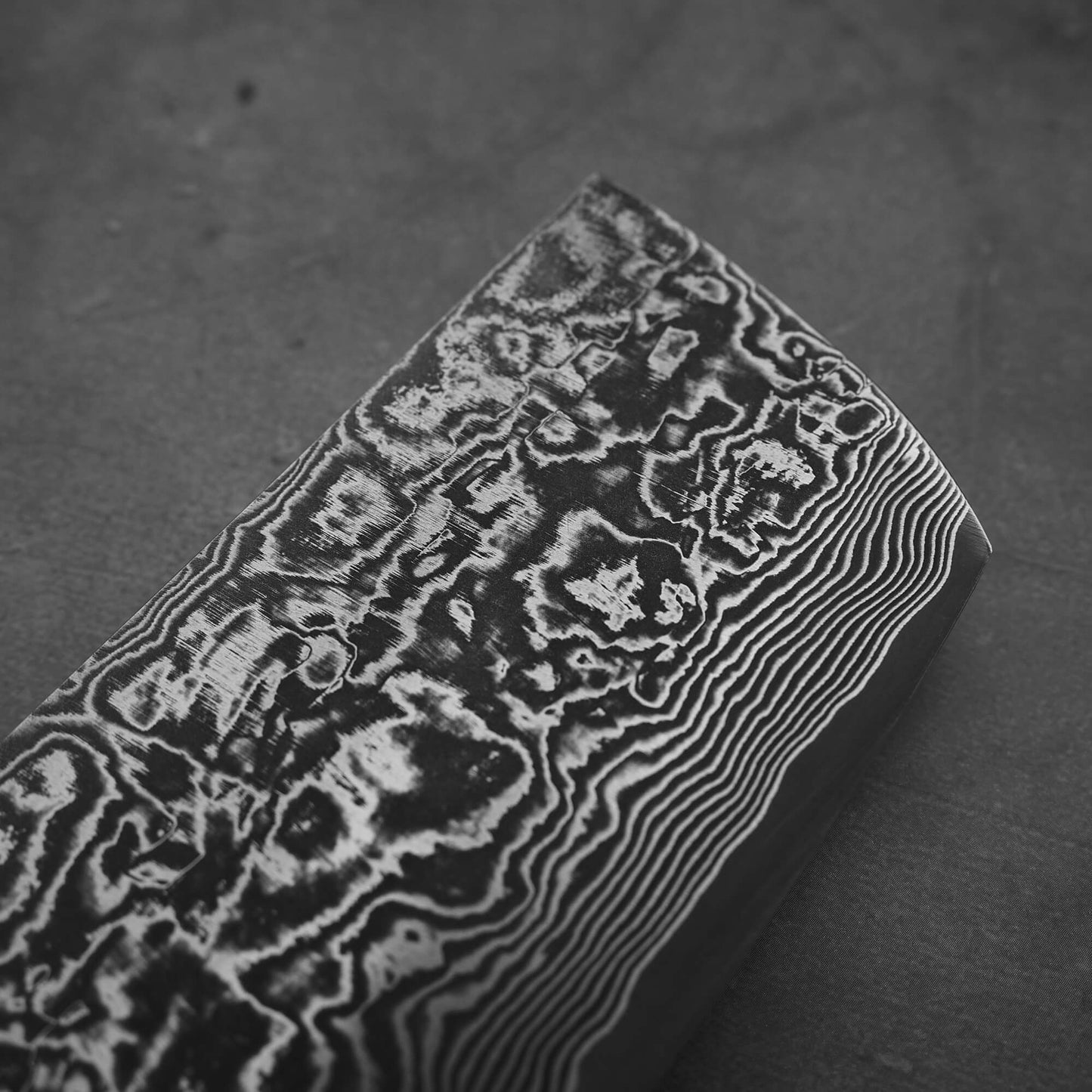 Close up view around the tip part of Takeshi Saji black damascus SG2 nakiri ironwood