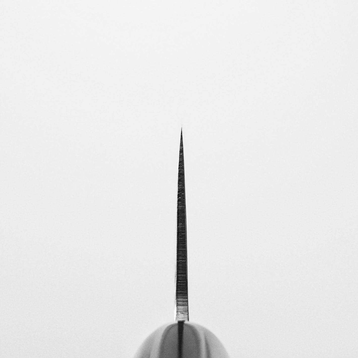 Toyama aogami#2 gyuto 210mm