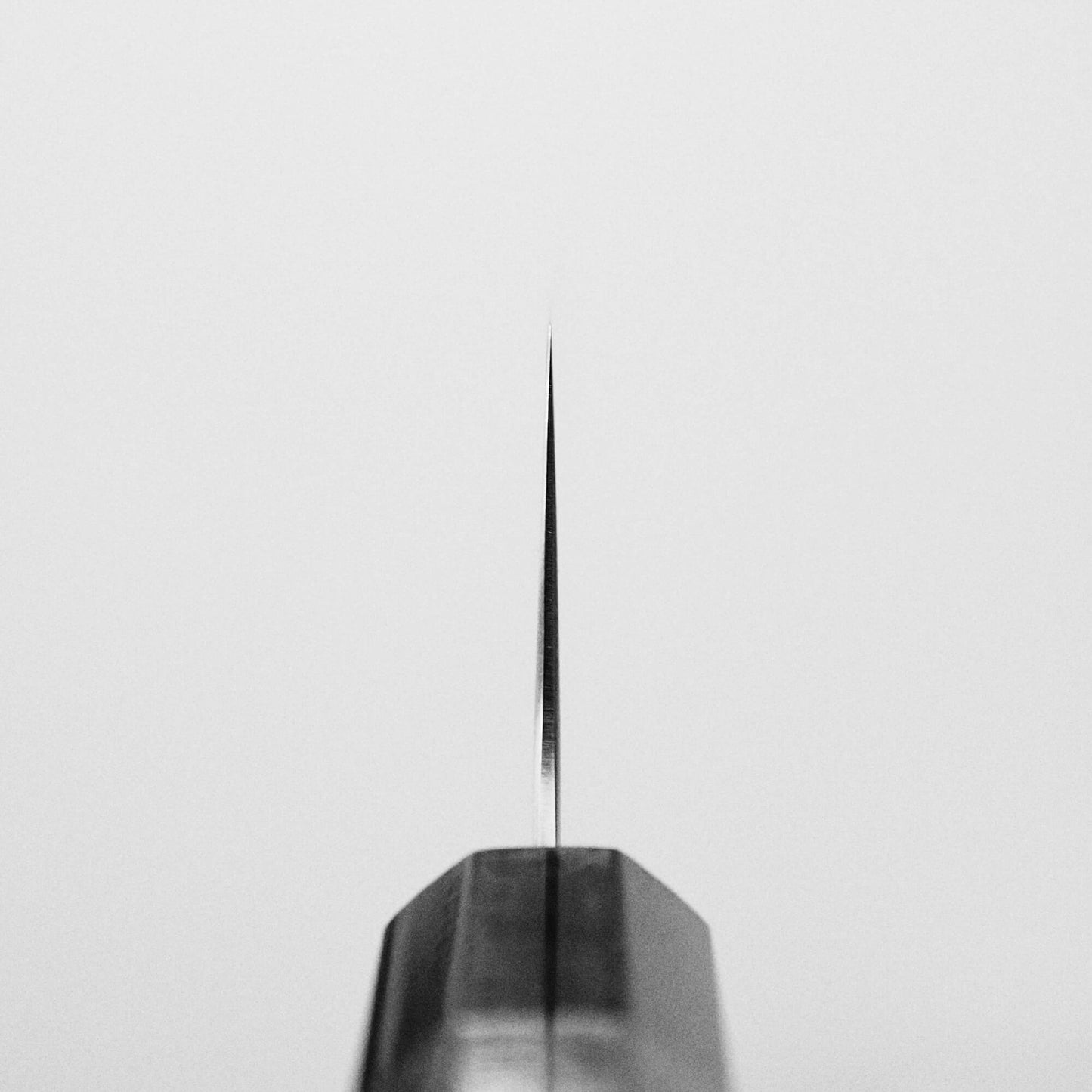Choil shot of Yoshihiro migaki aogami super gyuto. This Japanese chef's knife has an octagonal rosewood handle.