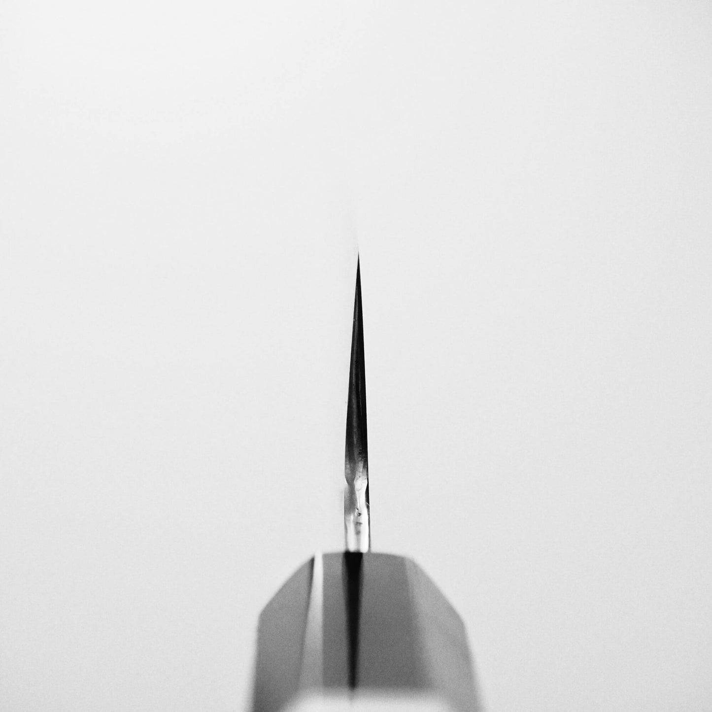 Choil shot of Yoshikazu Ikeda shirogami#3 santoku 165mm