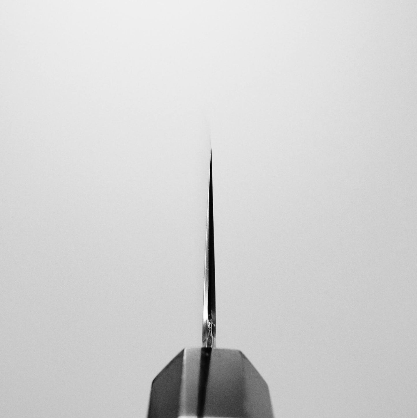 Choil shot of Yoshikazu Tanaka AS bunka. This hand-forged Japanese knife is made of aogami super steel.