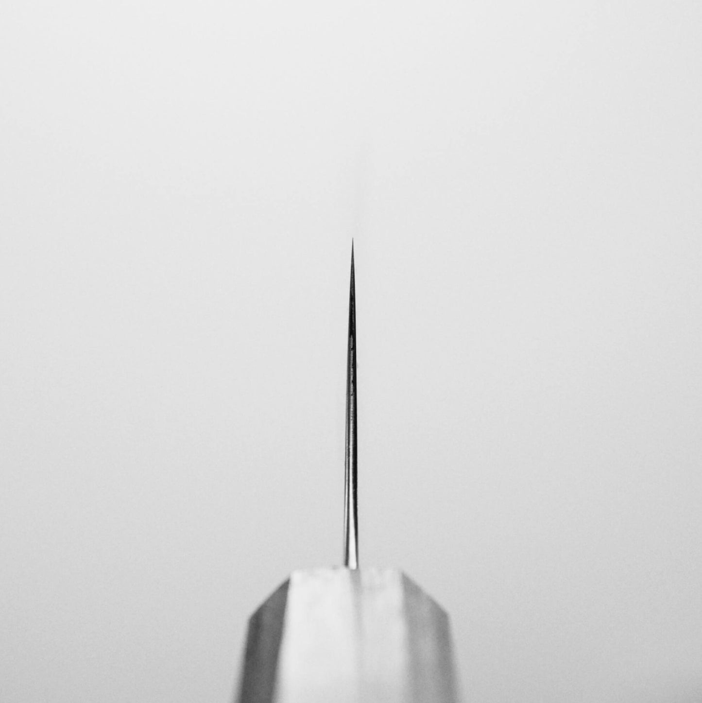 Choil shot of Hatsukokoro Hayabusa AS gyuto knife