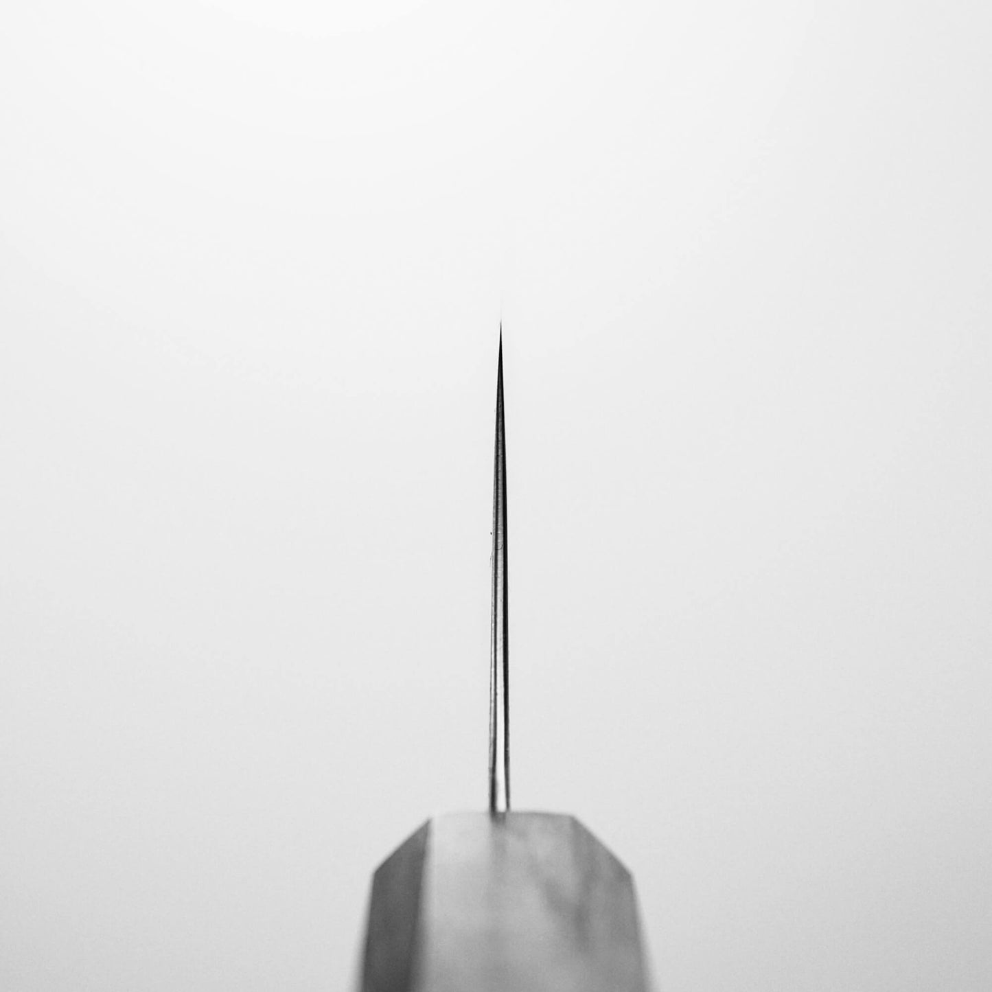 Hatsukokoro Hayabusa AS gyuto 240mm