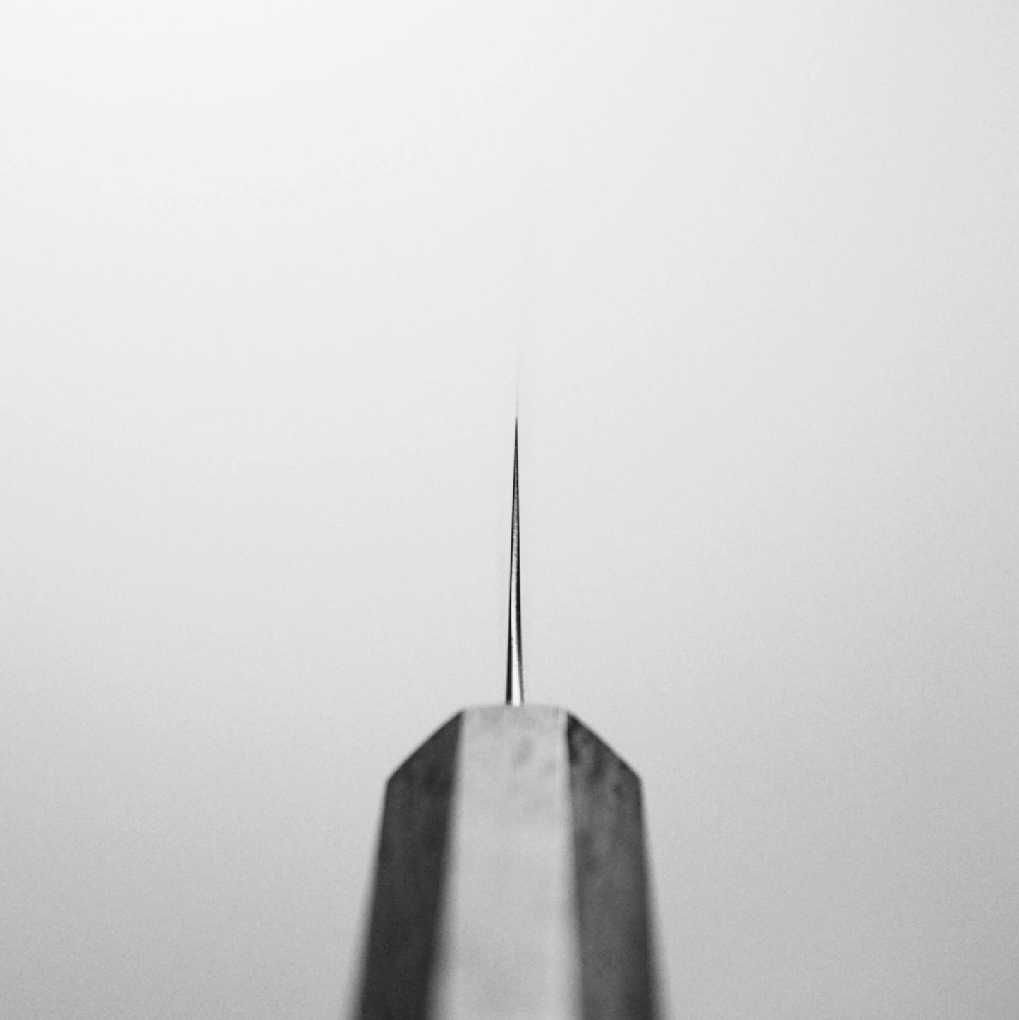 Choil shot of Hatsukokoro Hayabusa AS petty knife