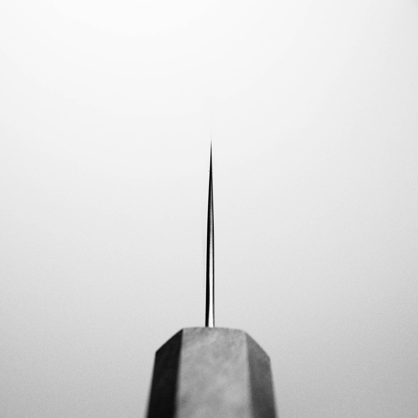Choil shot of Hatsukokoro Hayabusa AS santoku knife