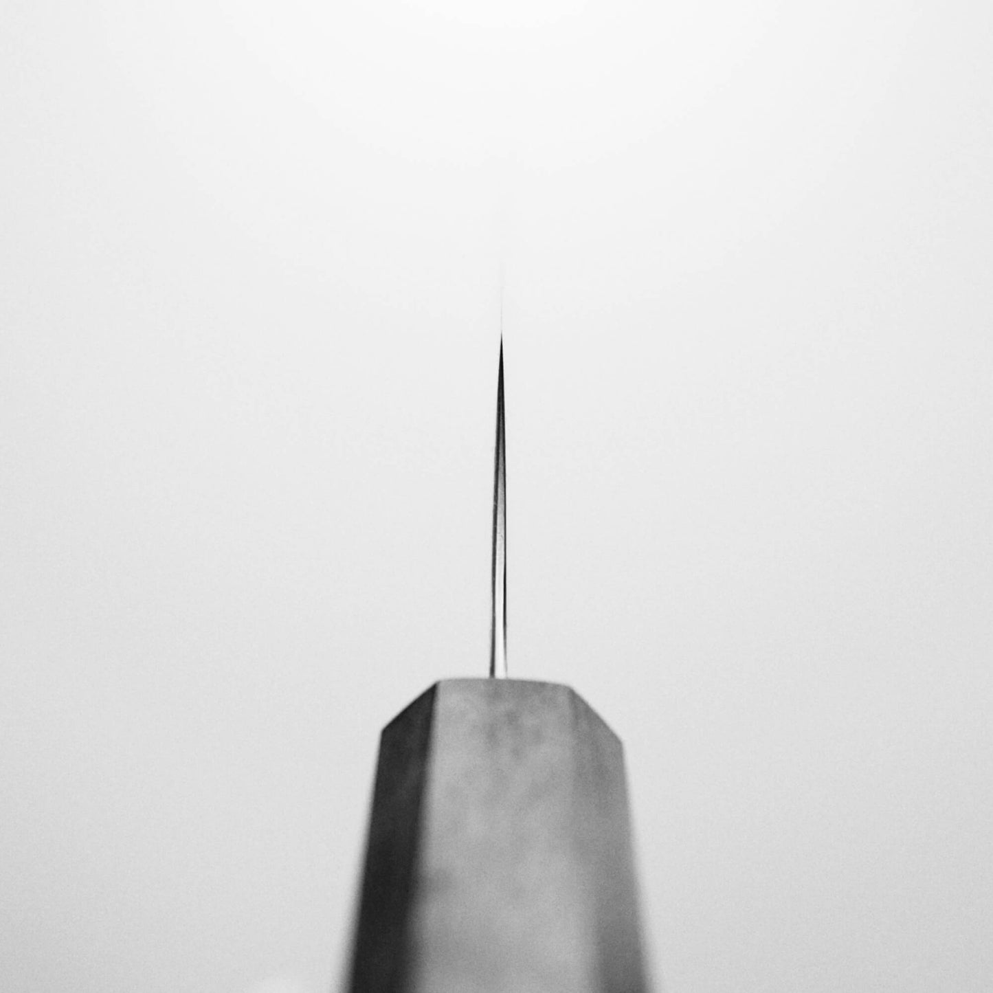 Choil shot of Hatsukokoro Hayabusa AS sujihiki knife