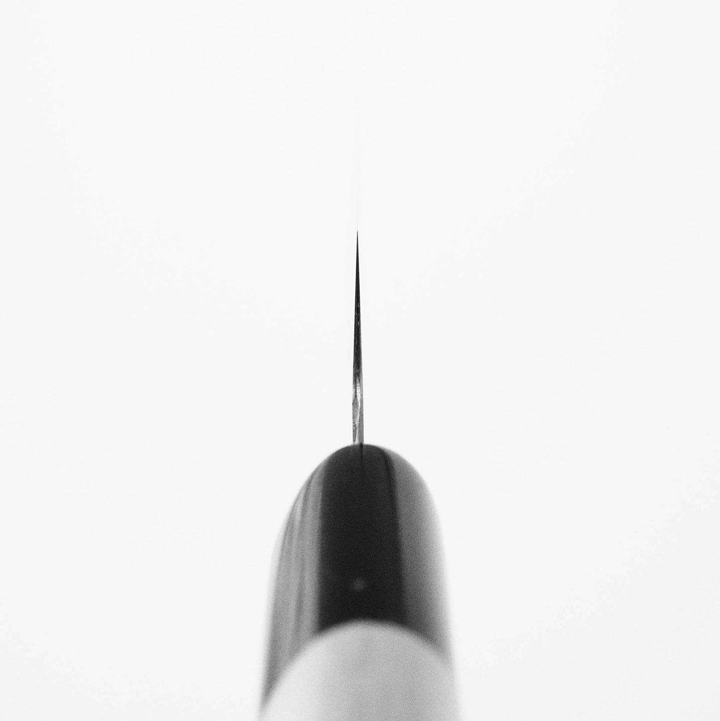 Choil shot of Masamoto KS shirogami#2 petty knife